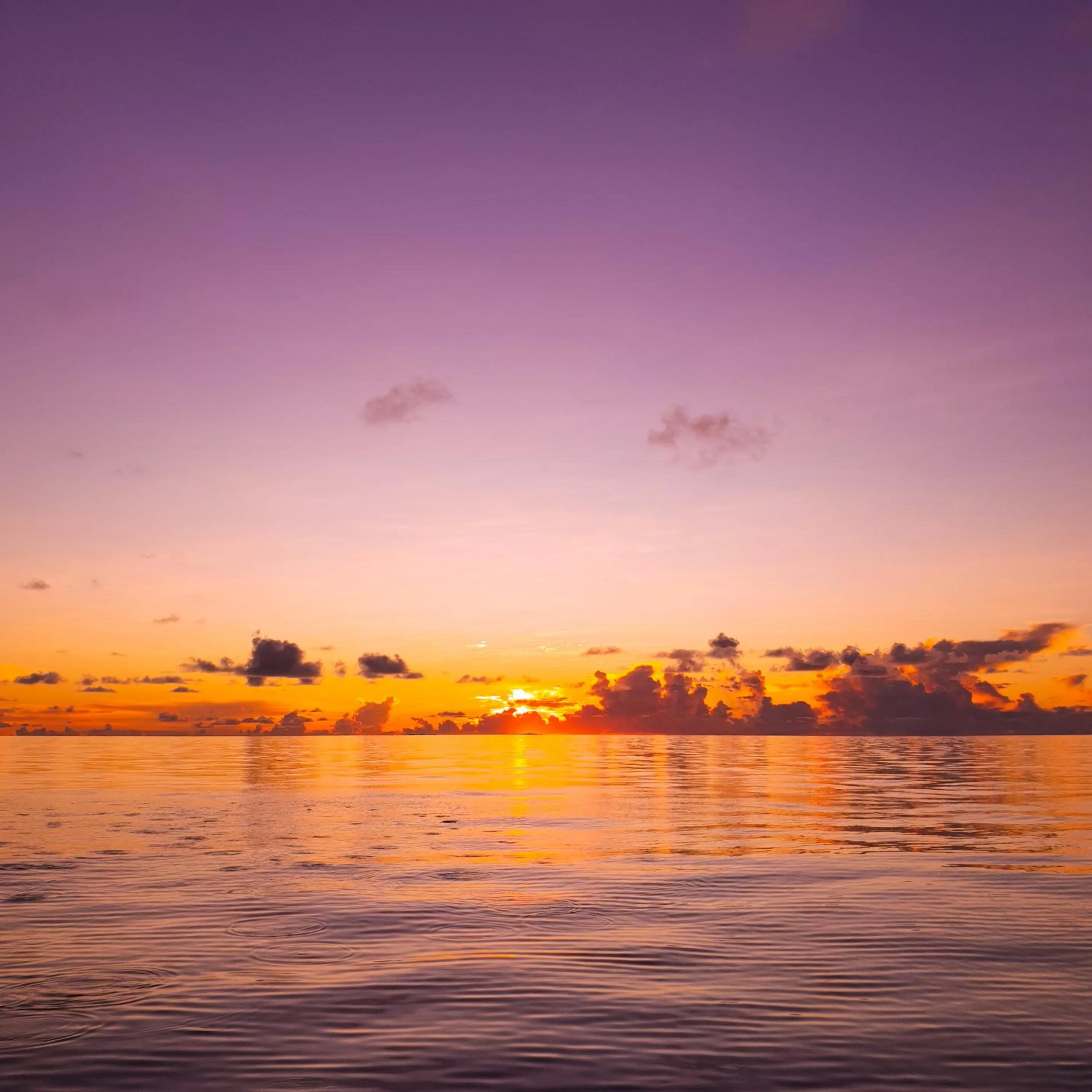 Sunset in Thundi Sea View