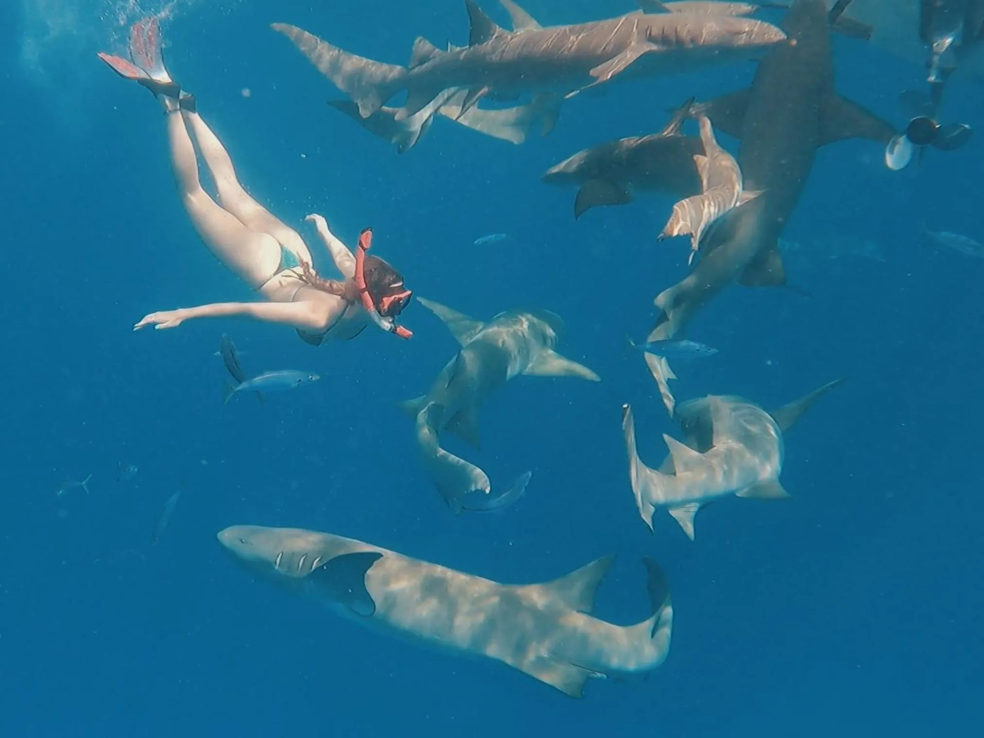 Activities in Thundi Sea View