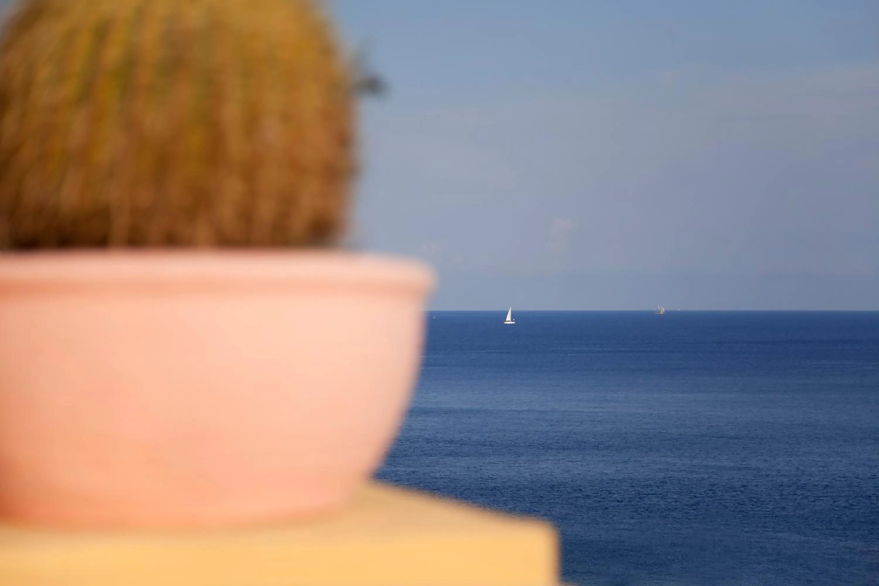 Other in Hotel A Pinnata