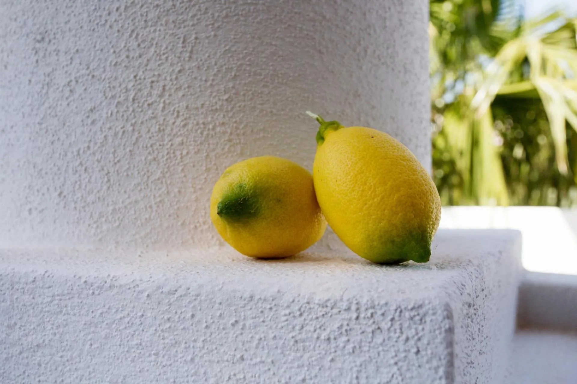 Food in Hotel Residence Mendolita