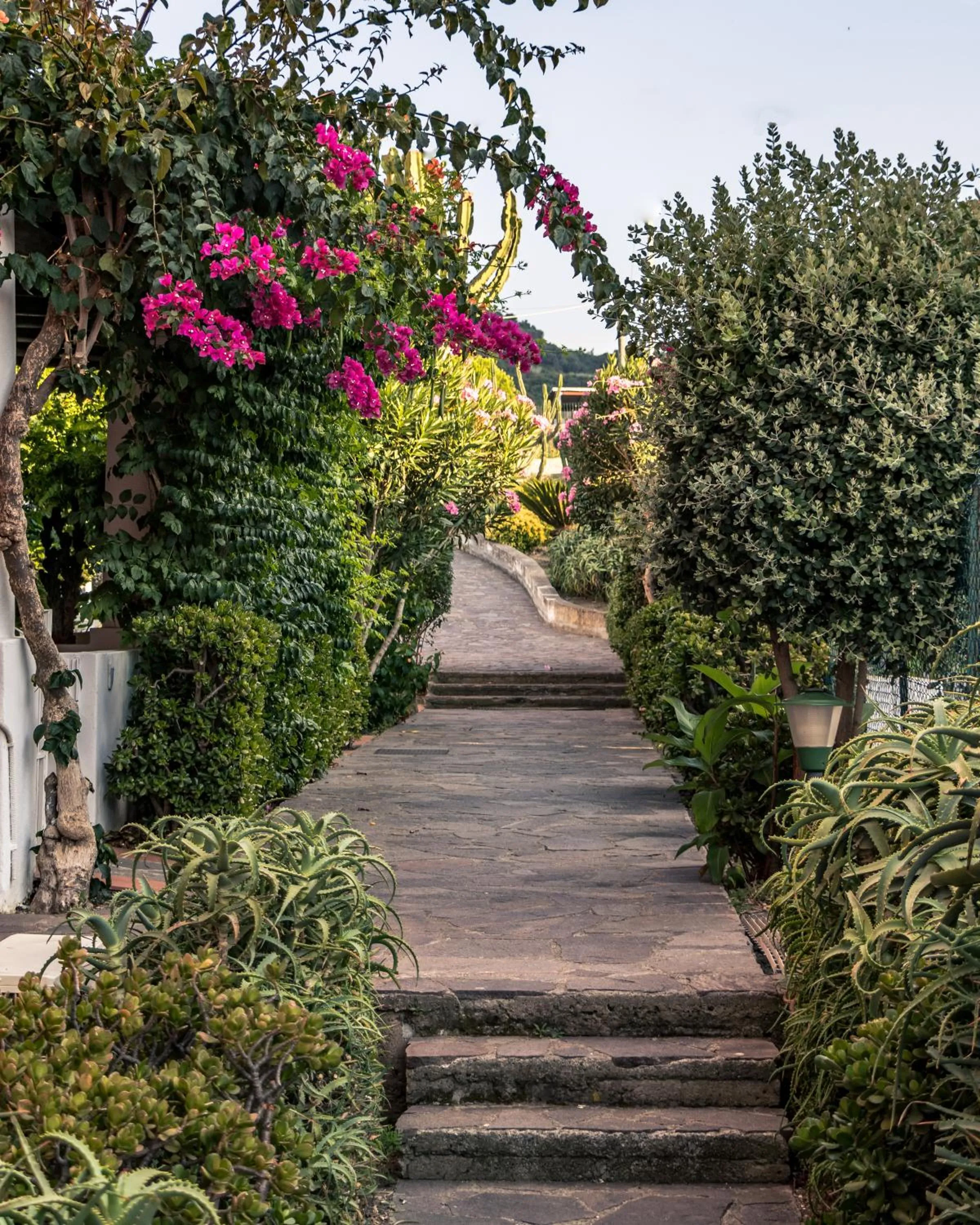 Garden in Hotel Residence Mendolita