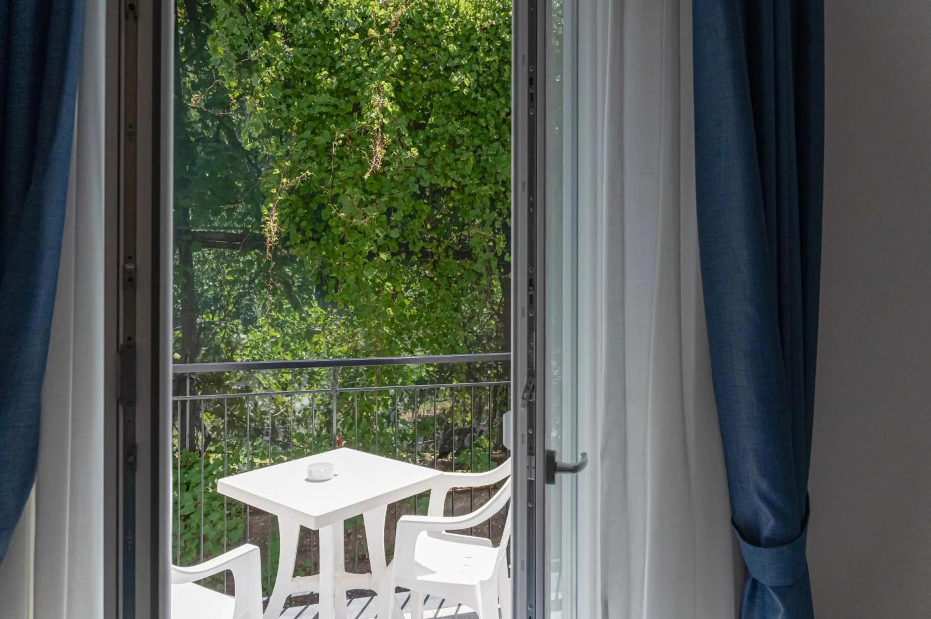 Garden in Hotel Britannia