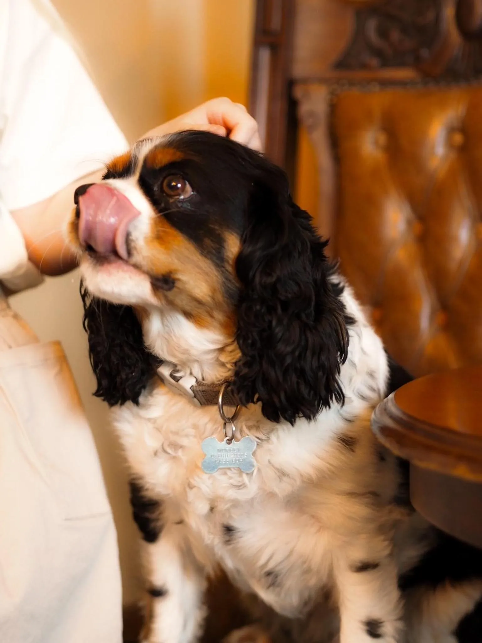 Lounge or bar in The Seagrave Arms