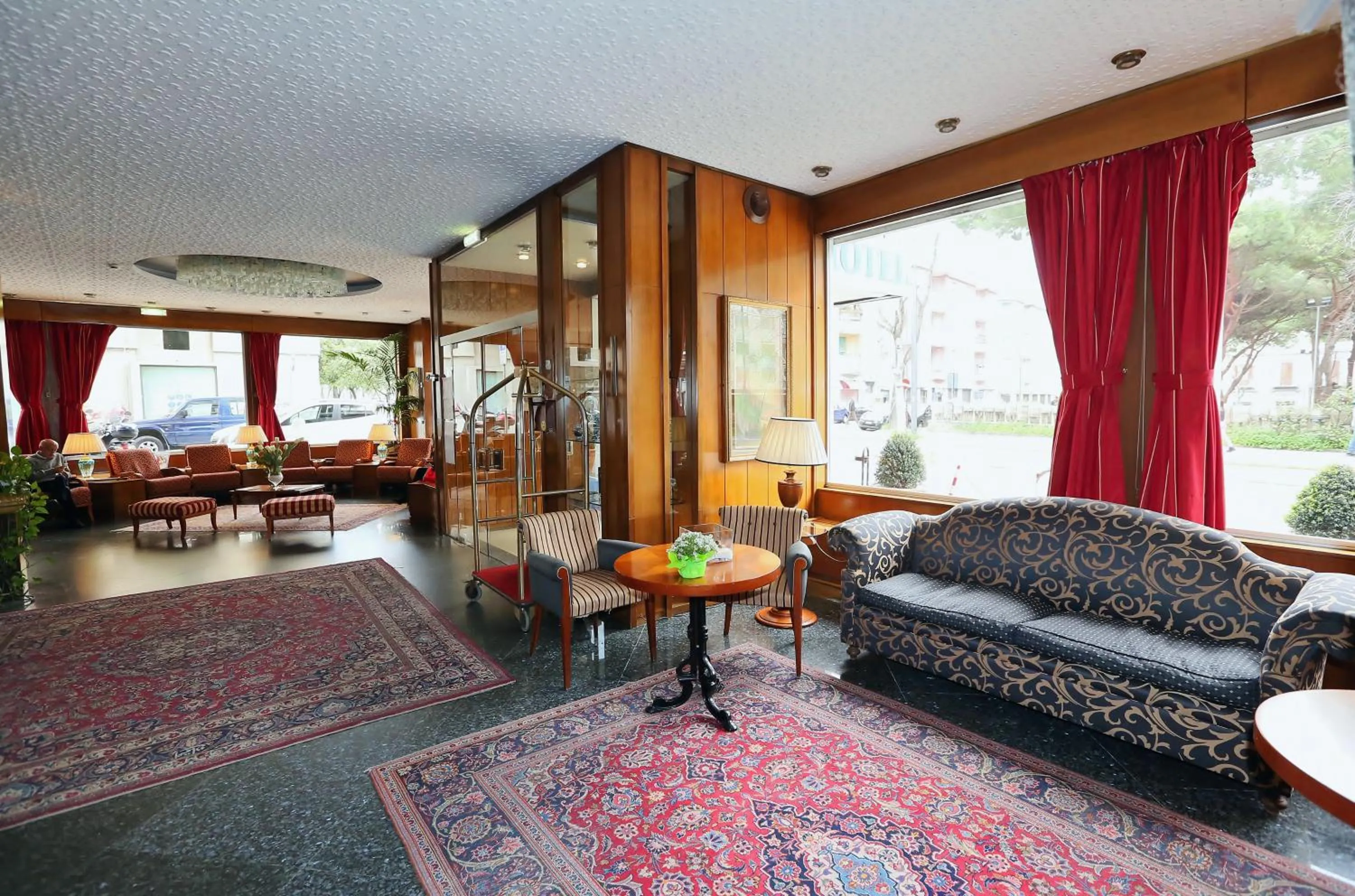 Communal lounge/ TV room in Hotel Royal Palace