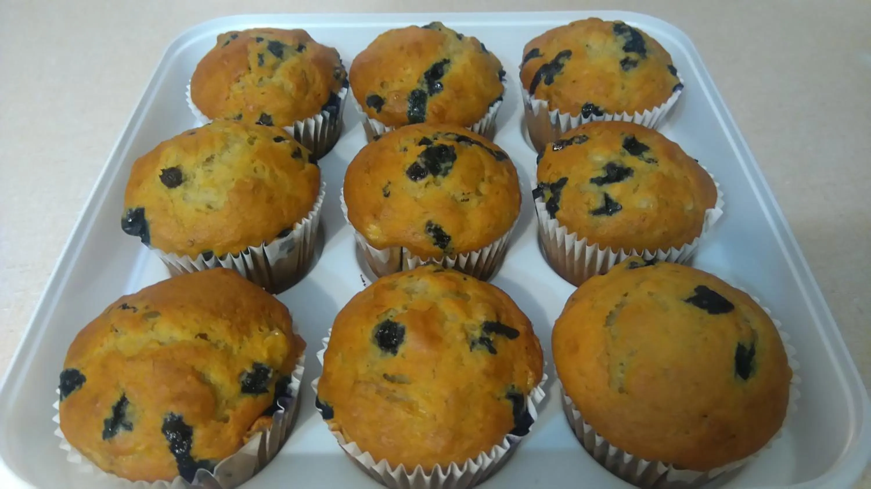 Continental breakfast in Oasis Motel