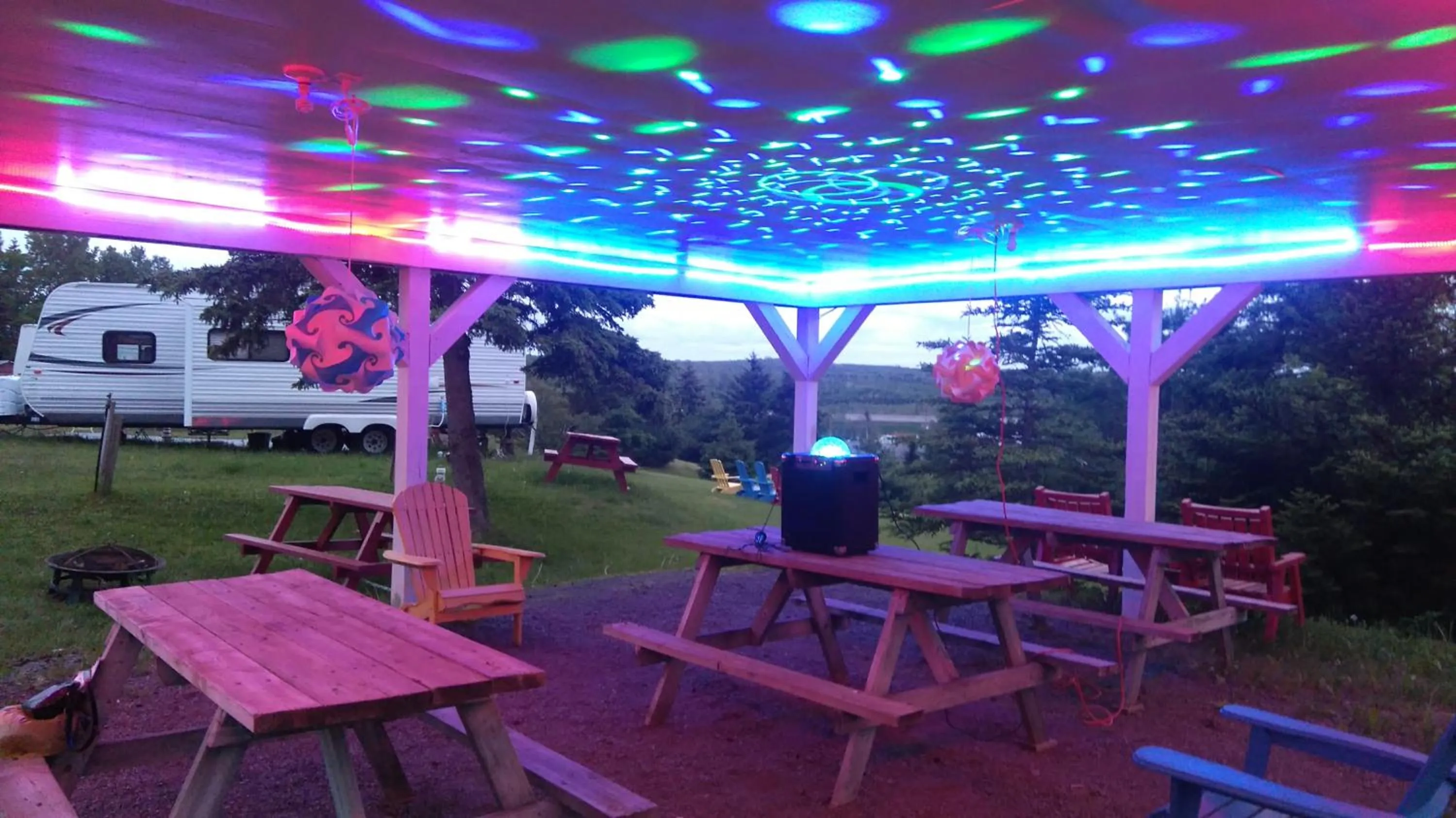 Staff in Oasis Motel