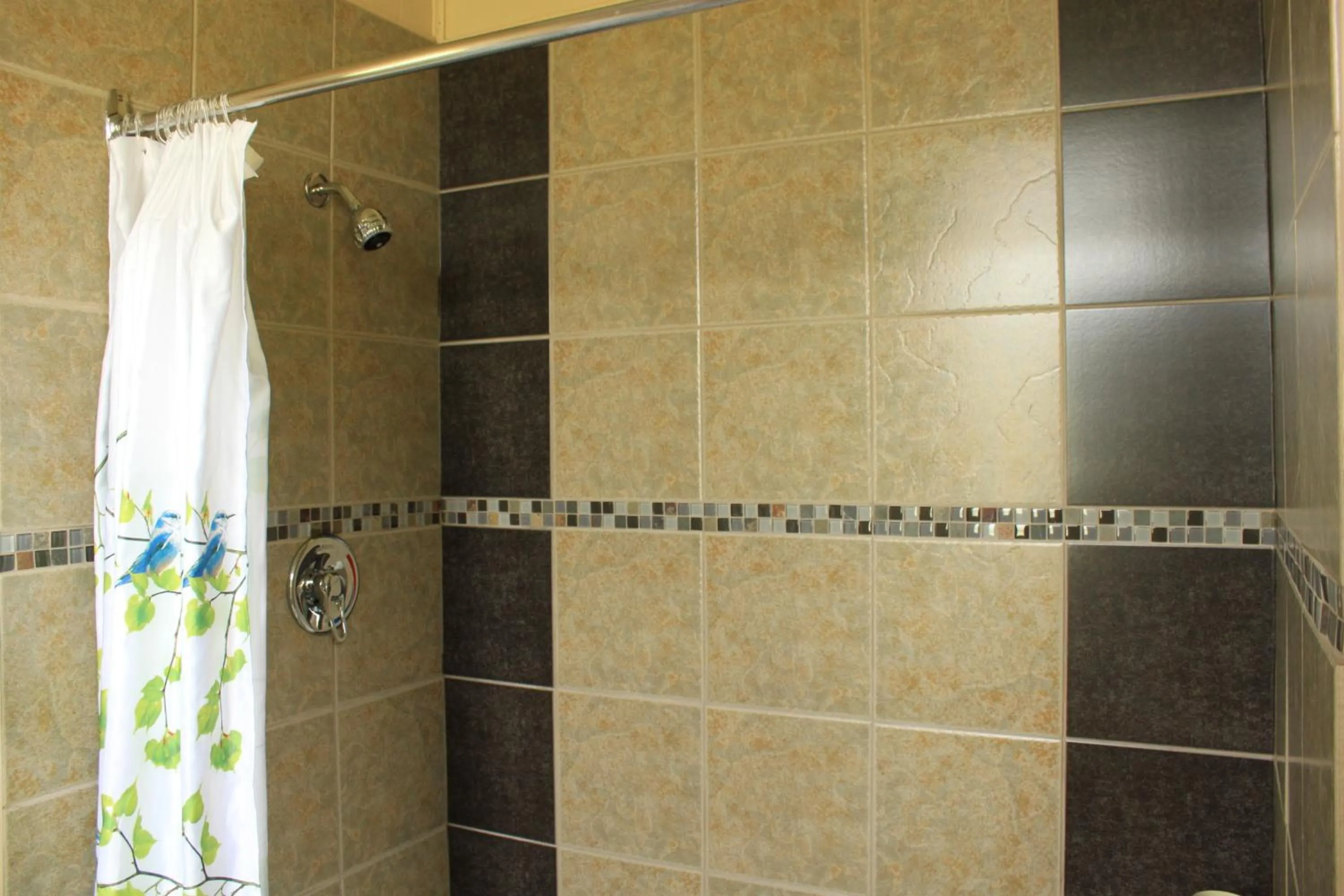 Shower in Oasis Motel