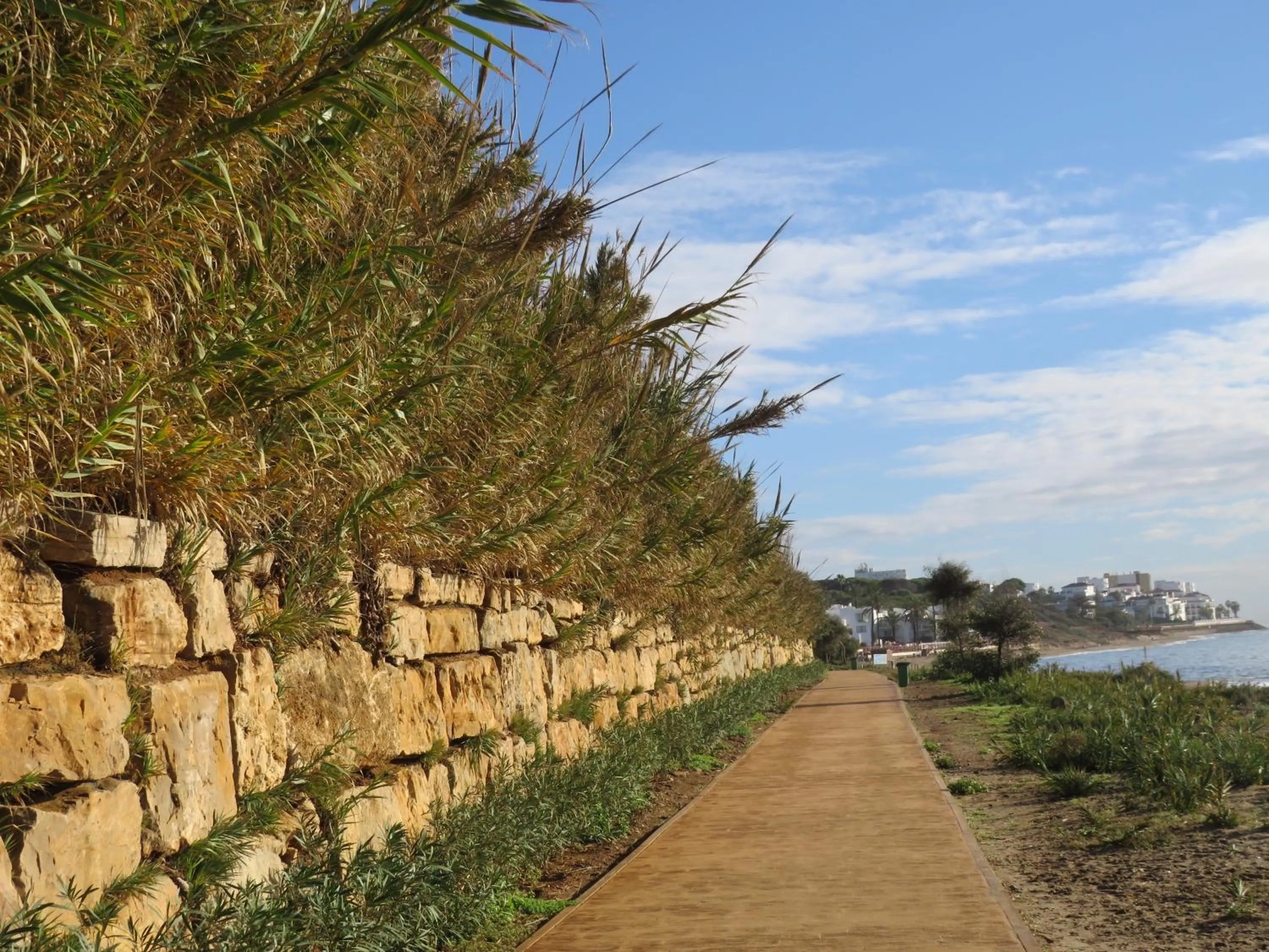 Nearby landmark in Villa Costa Marbella
