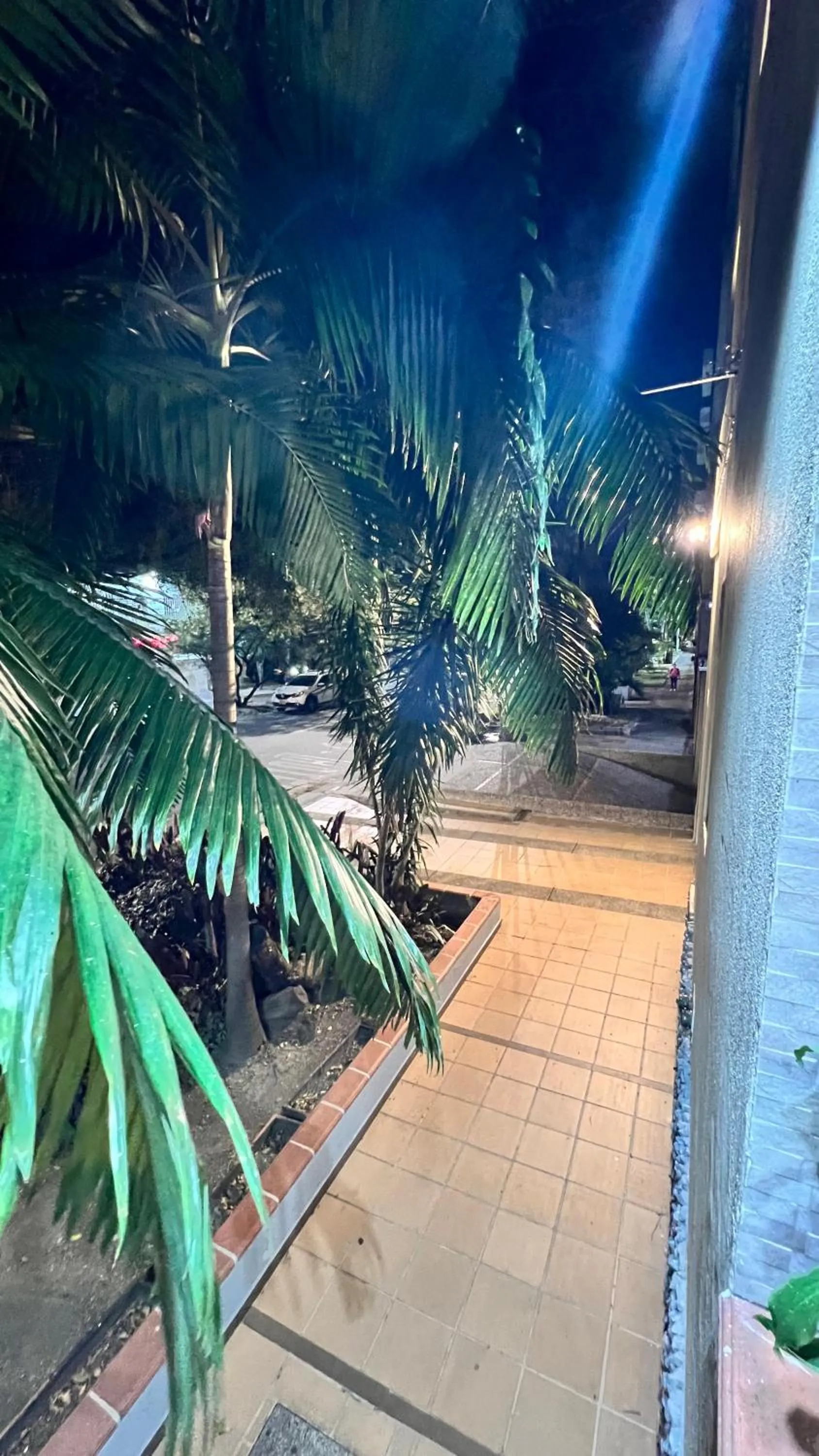 Garden in Hotel Gran Conquistador 33