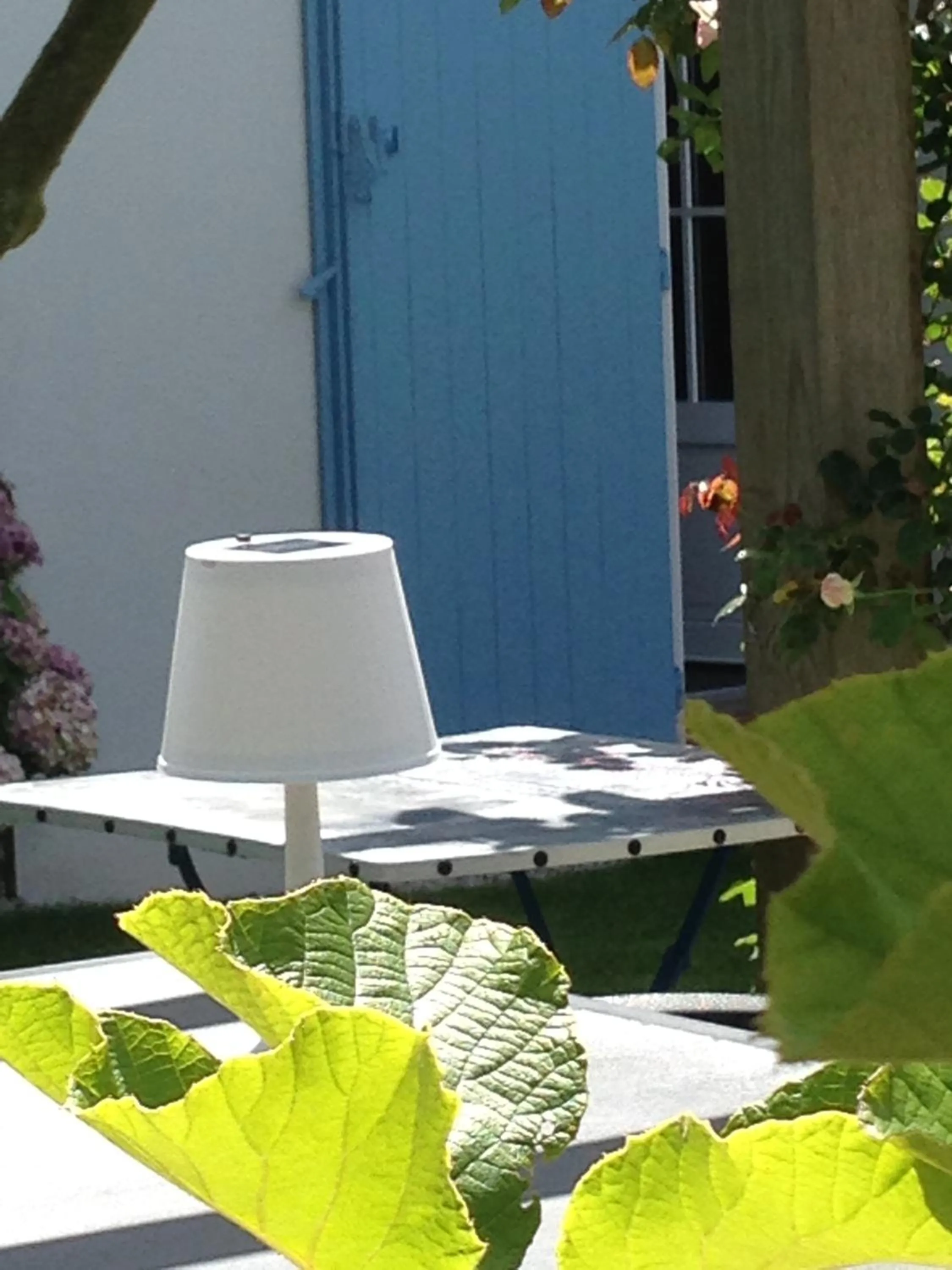 Garden in Ô'Maxethel