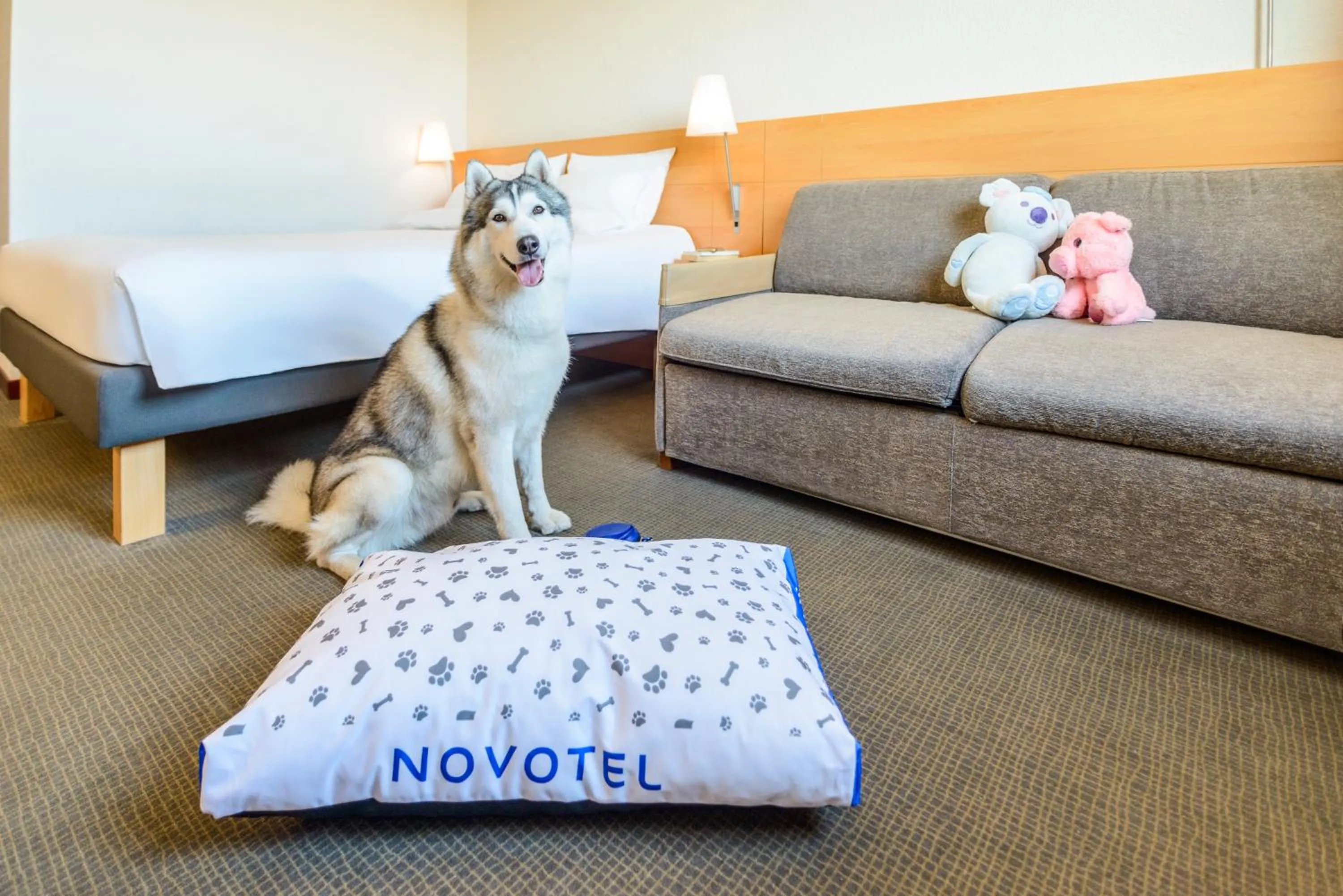 Novotel Torino Corso Giulio Cesare