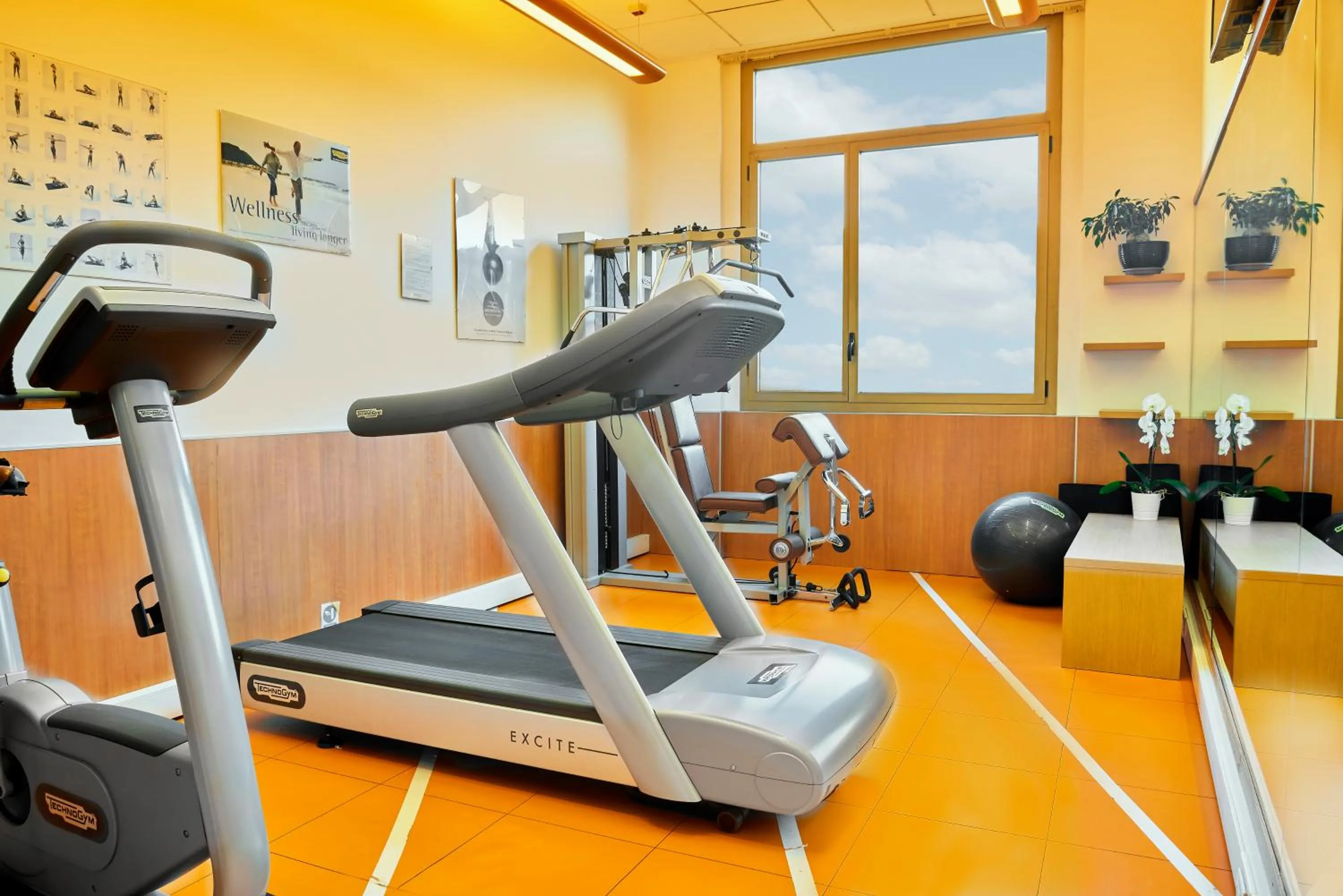 Fitness centre/facilities in Novotel Torino Corso Giulio Cesare