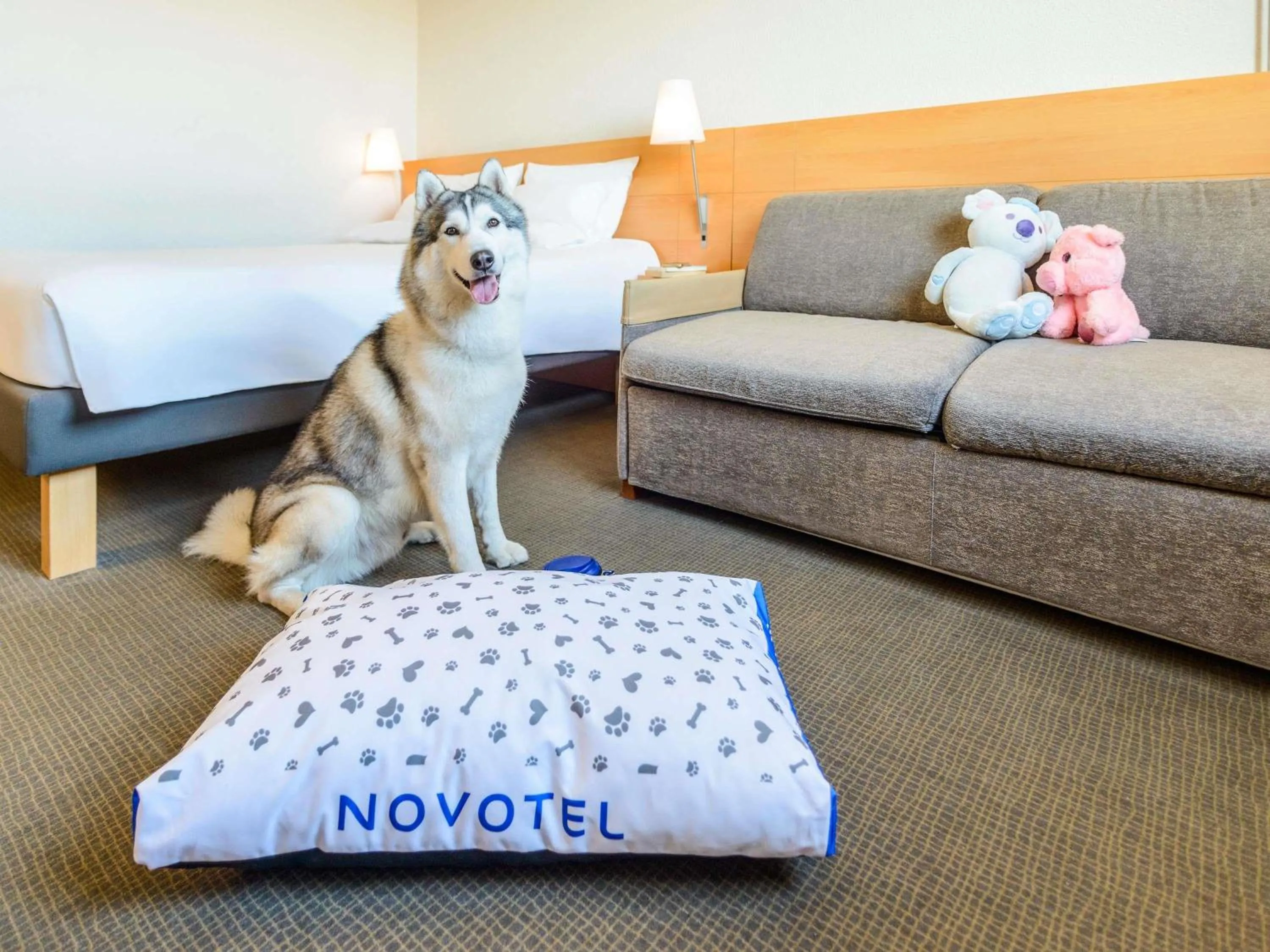 Bedroom in Novotel Torino Corso Giulio Cesare