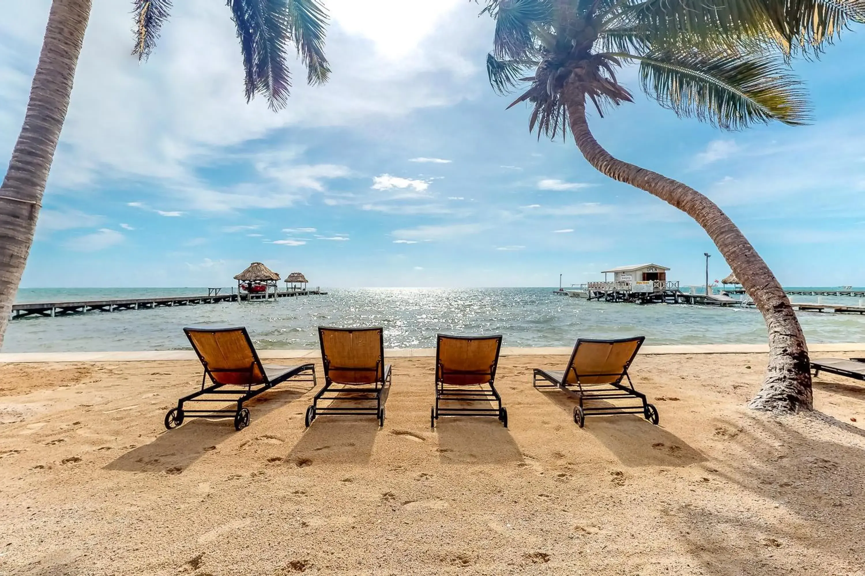 Saponaria 21-22 at Caribe Island Gold Standard Certified Saponaria 21-22 at Caribe Island Gold Standard Certified