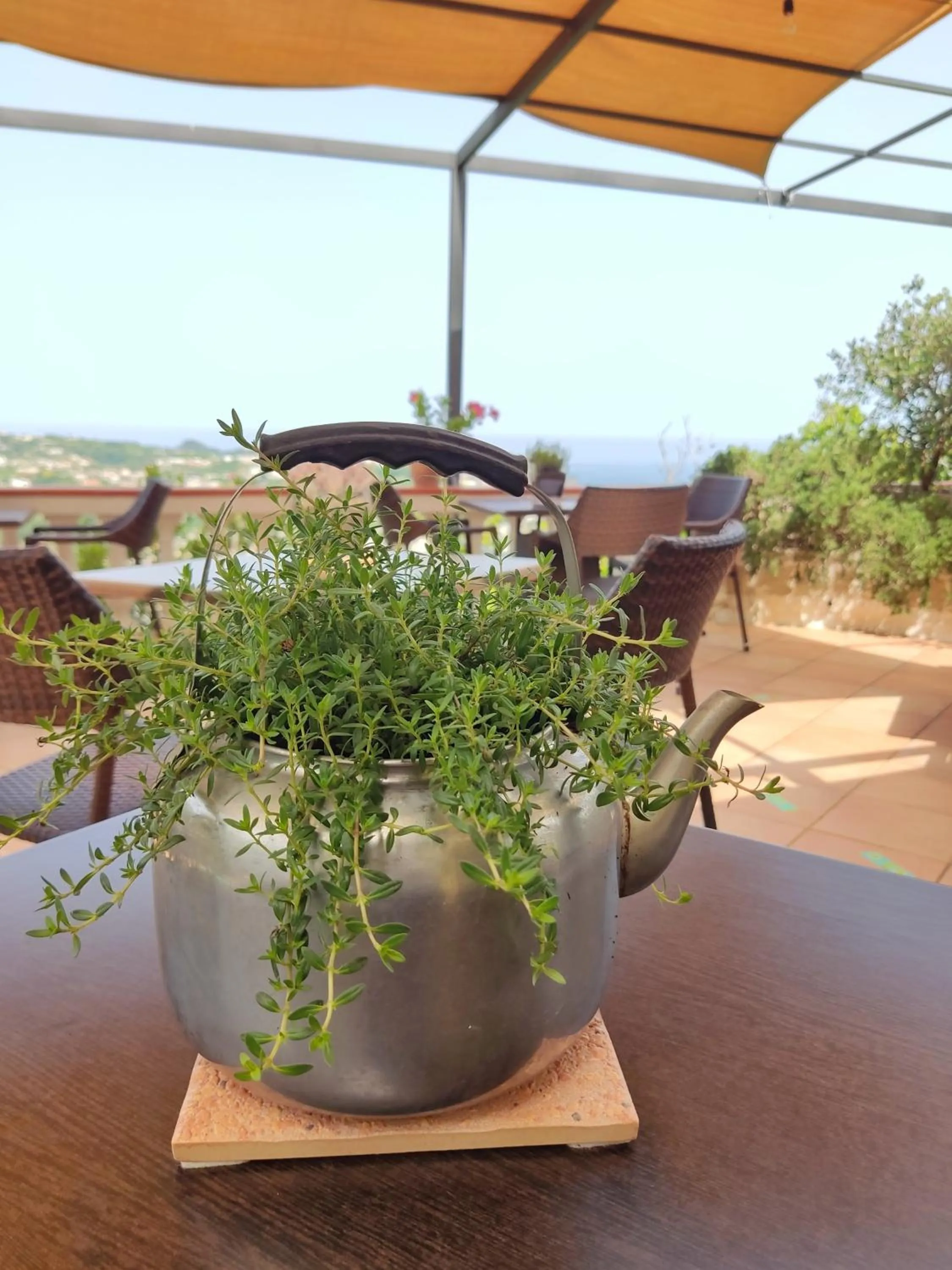 Decorative detail in Hotel Ape Regina