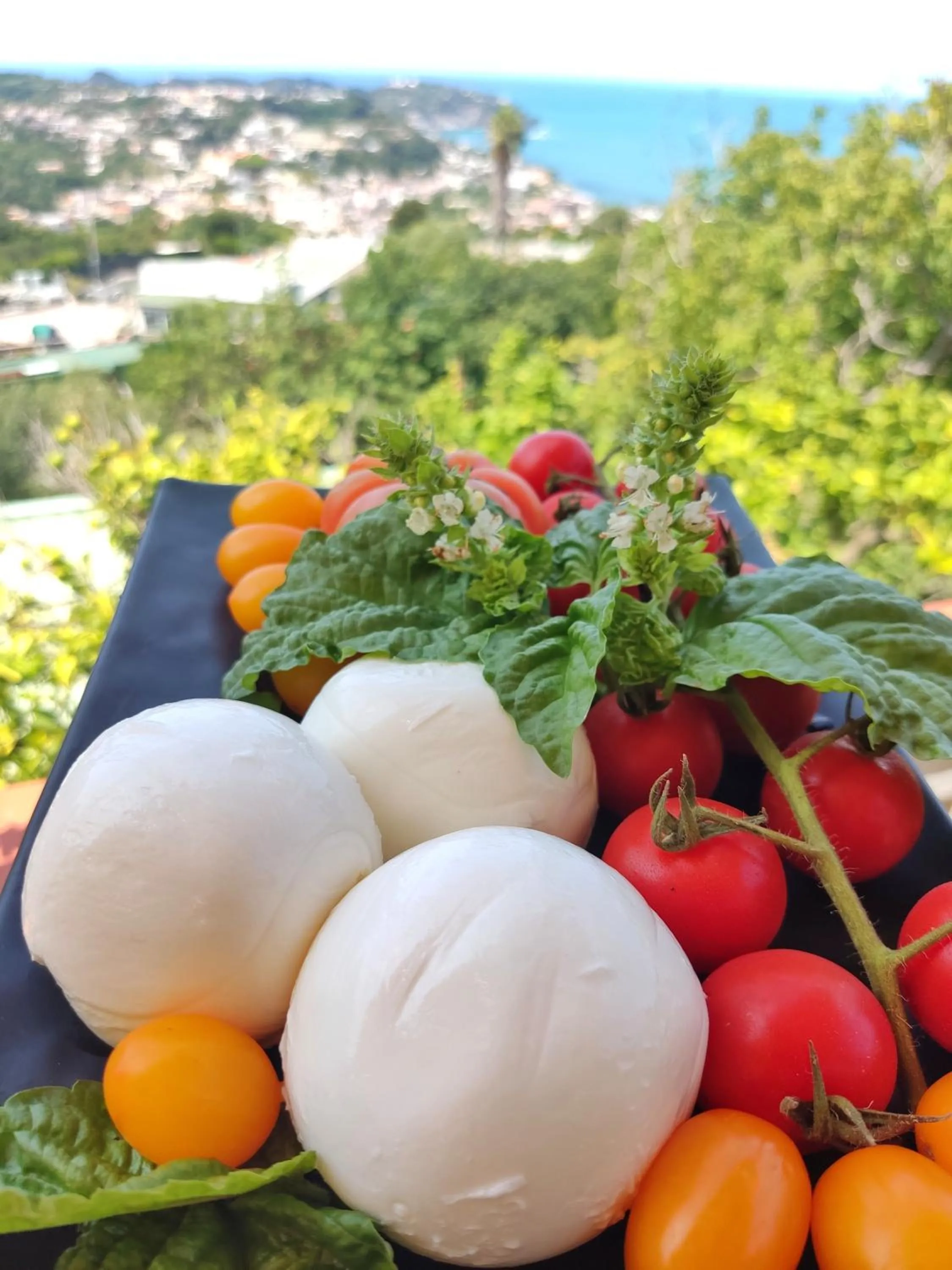 Food and drinks in Hotel Ape Regina