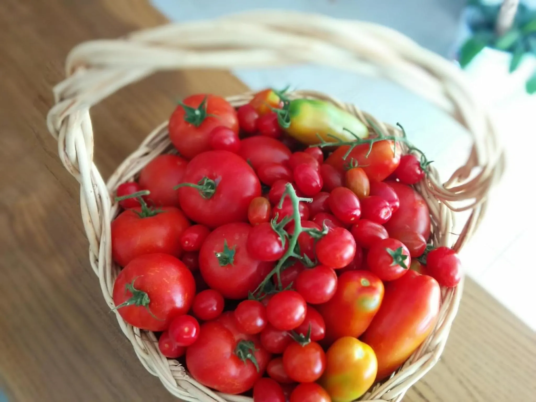 Food and drinks in Hotel Ape Regina