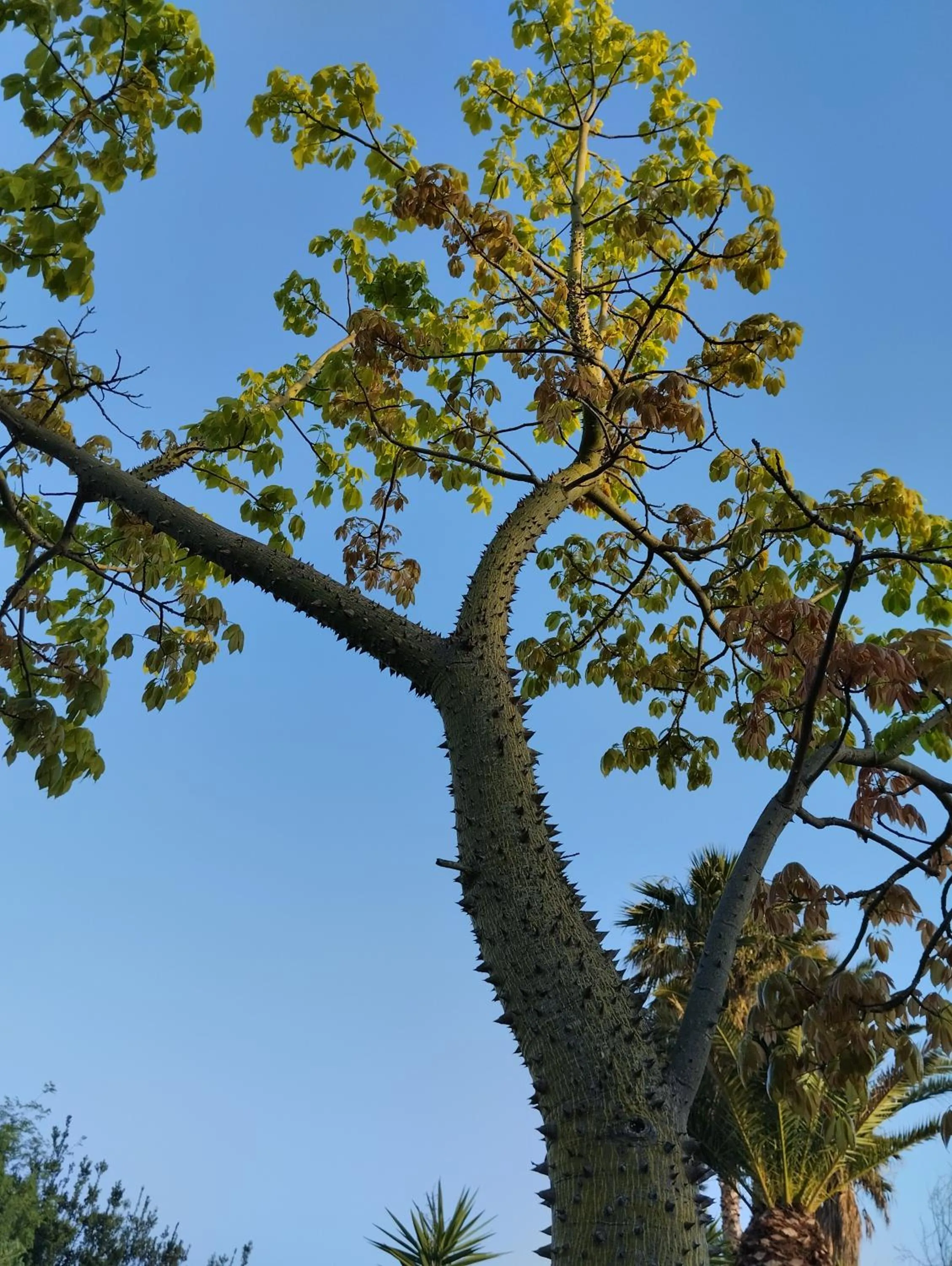 Valle di Mare Country Resort