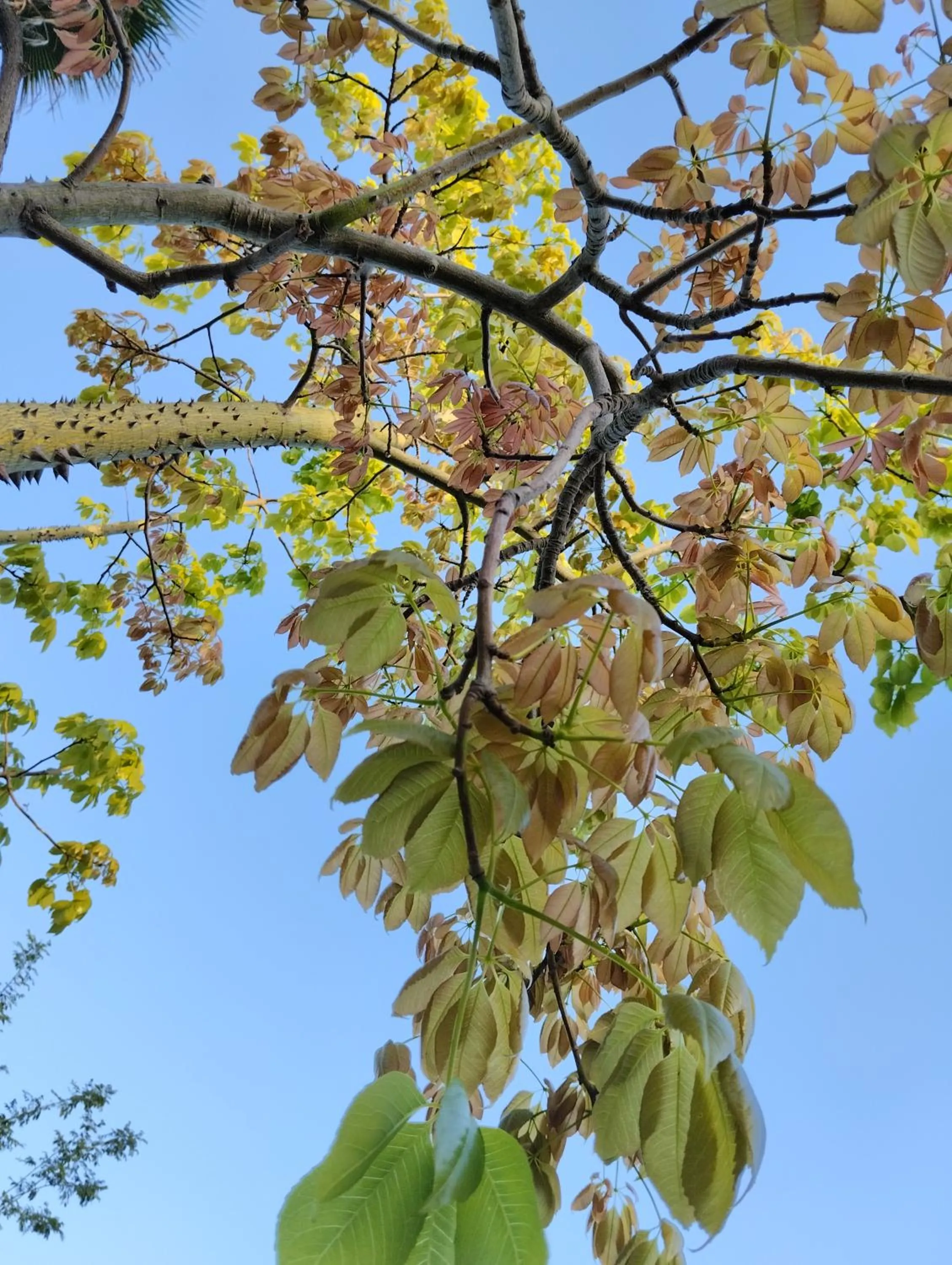 Valle di Mare Country Resort