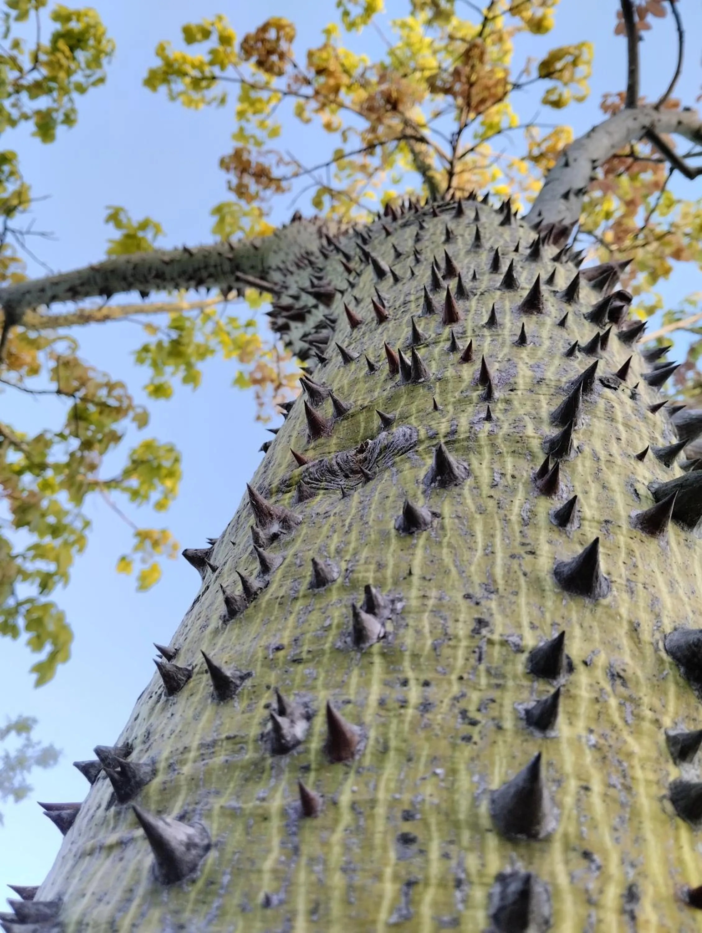 Valle di Mare Country Resort