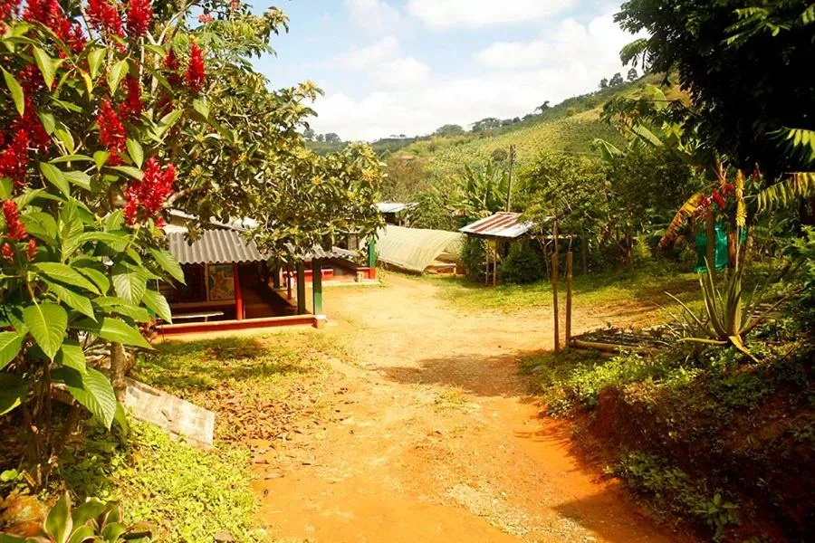 Caficultur -Alojamiento Rural