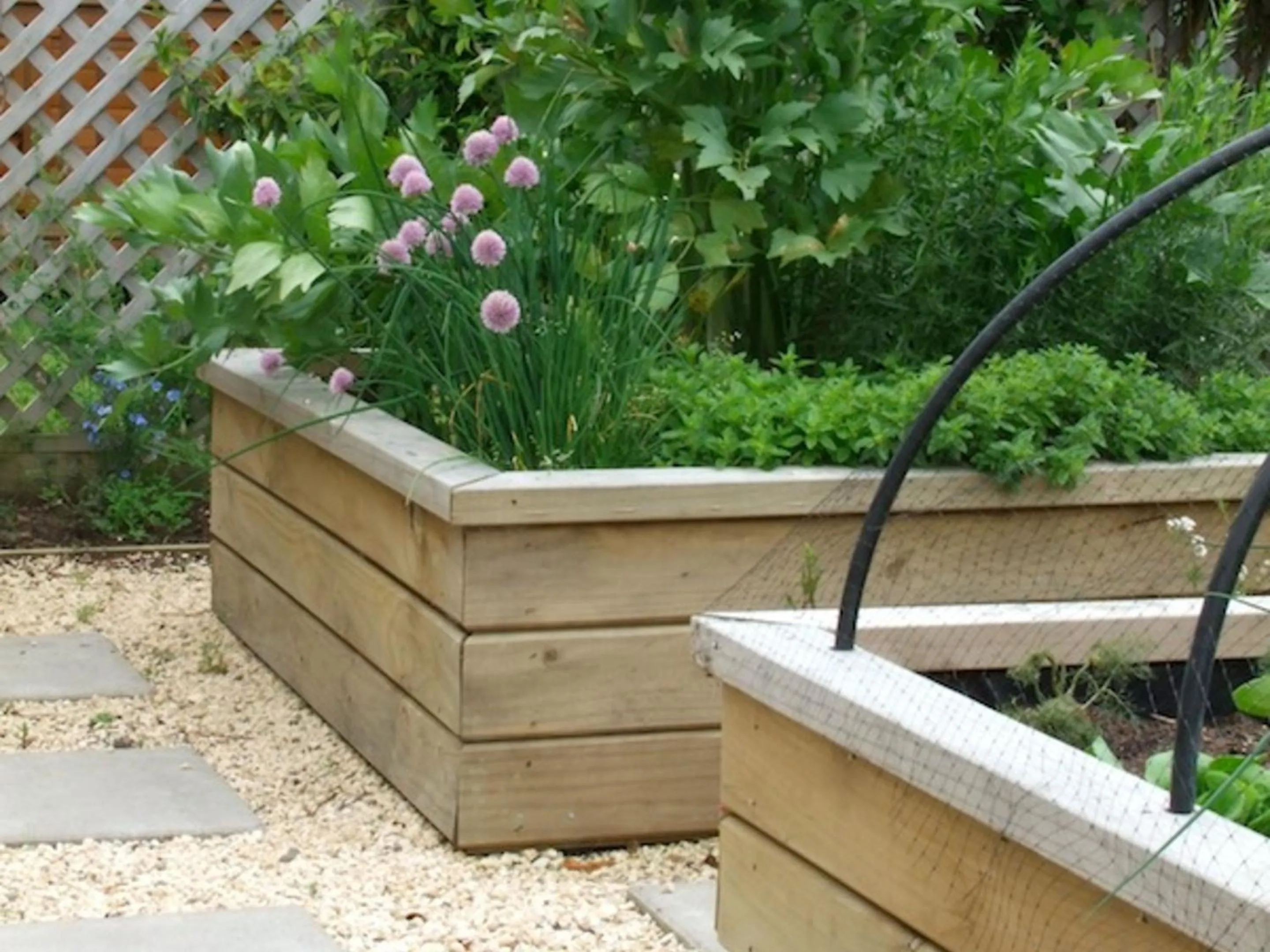 Garden in Lilac Rose Boutique Bed and Breakfast