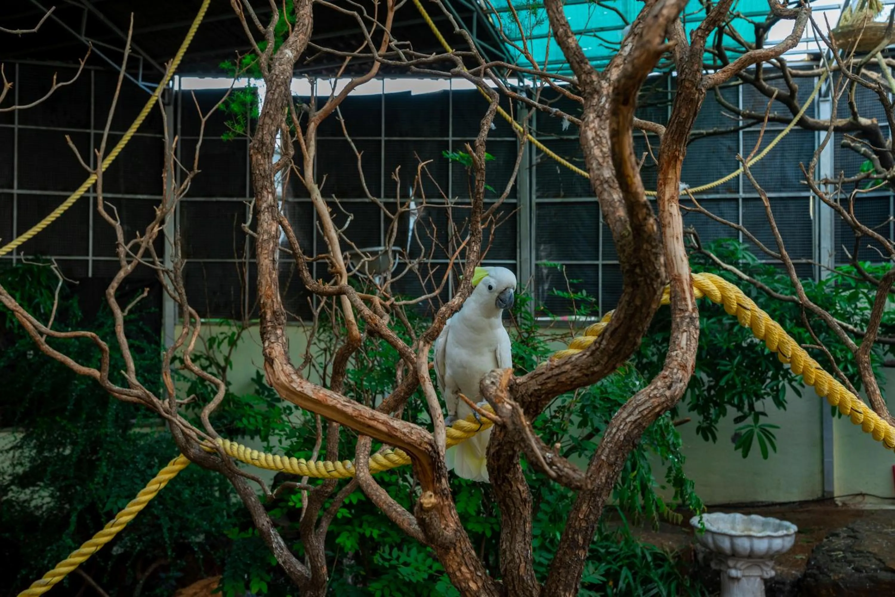 Activities in Camel Valley Resort & Spa, Igatpuri