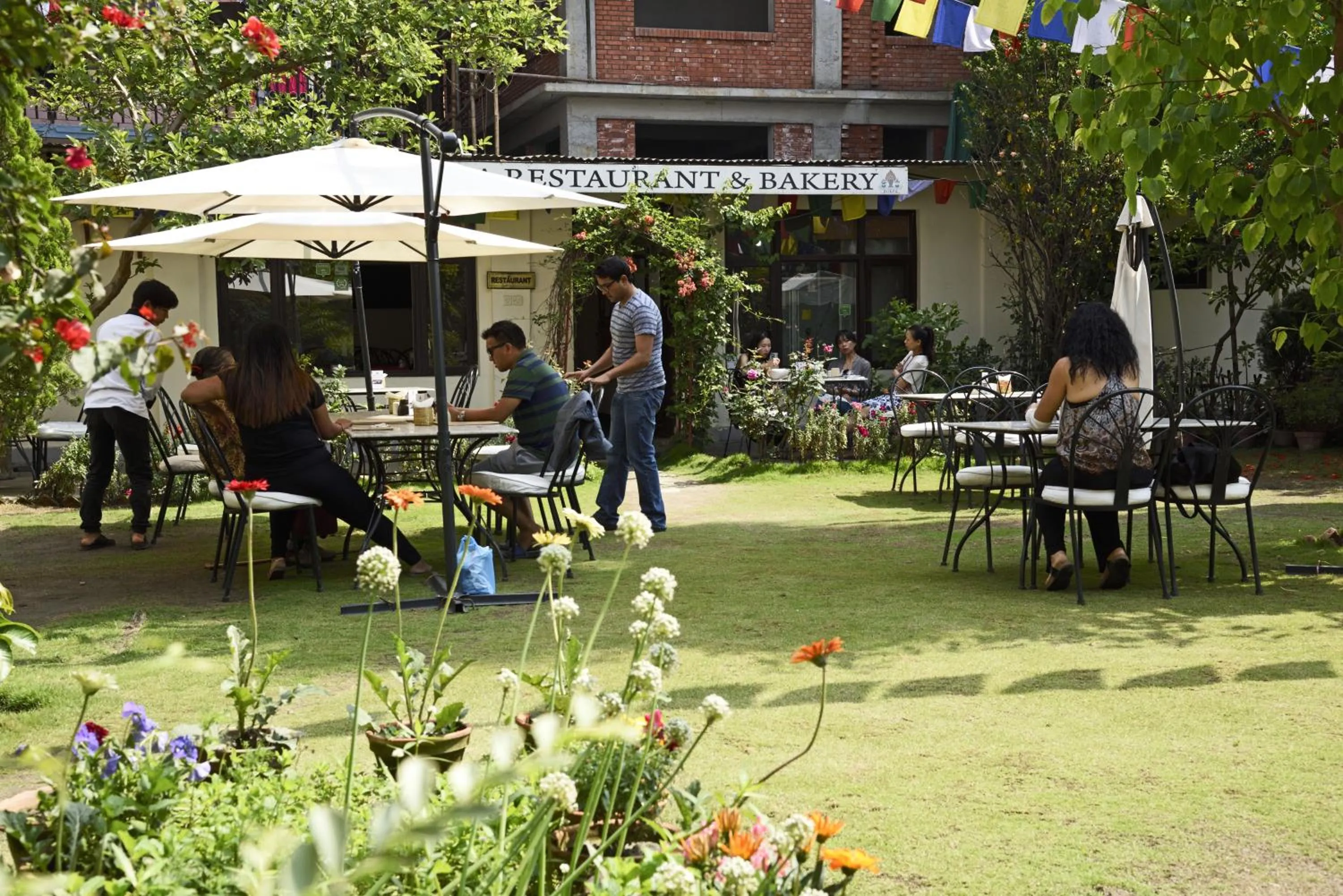 Restaurant/places to eat in ROKPA Guest House