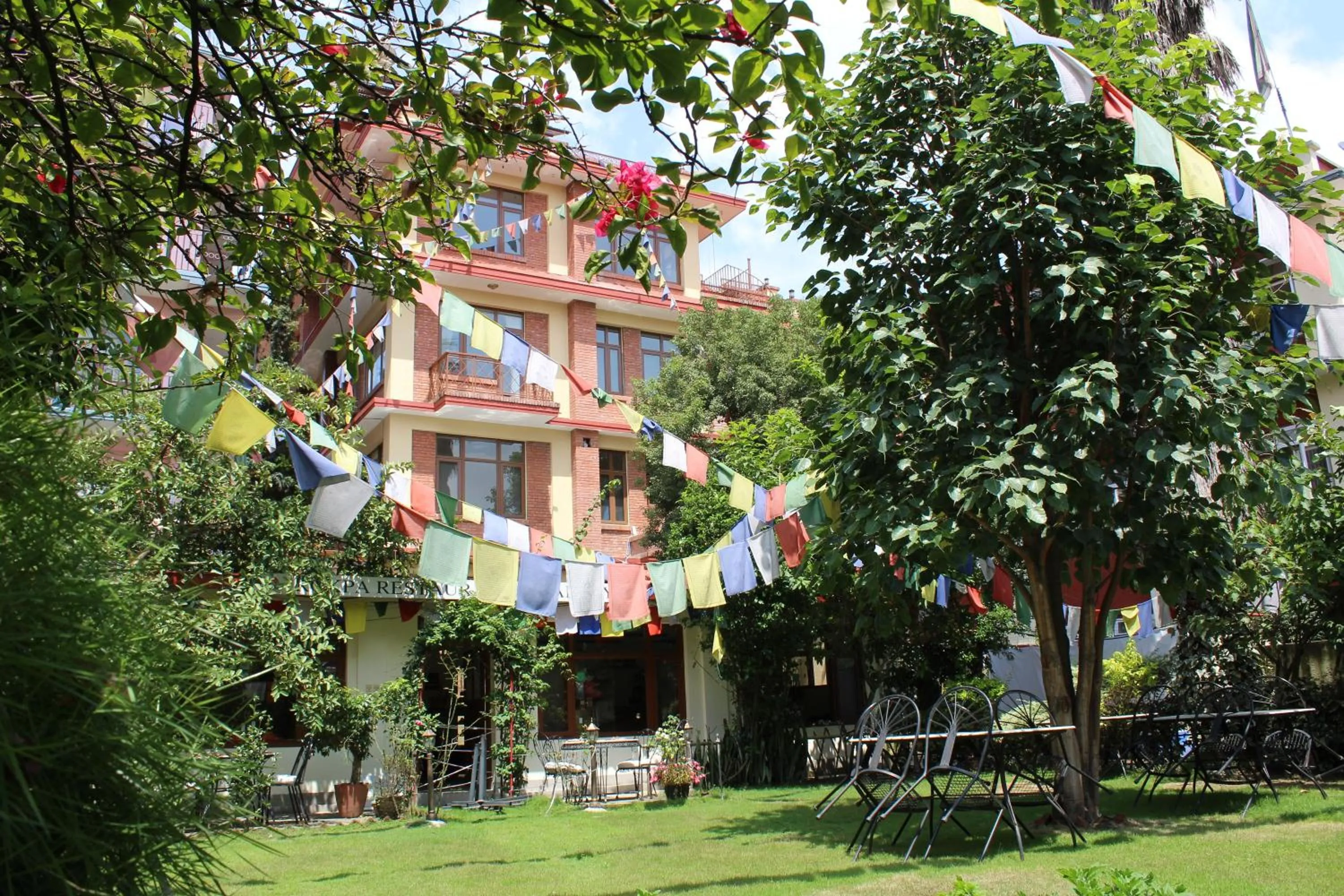 Restaurant/places to eat in ROKPA Guest House