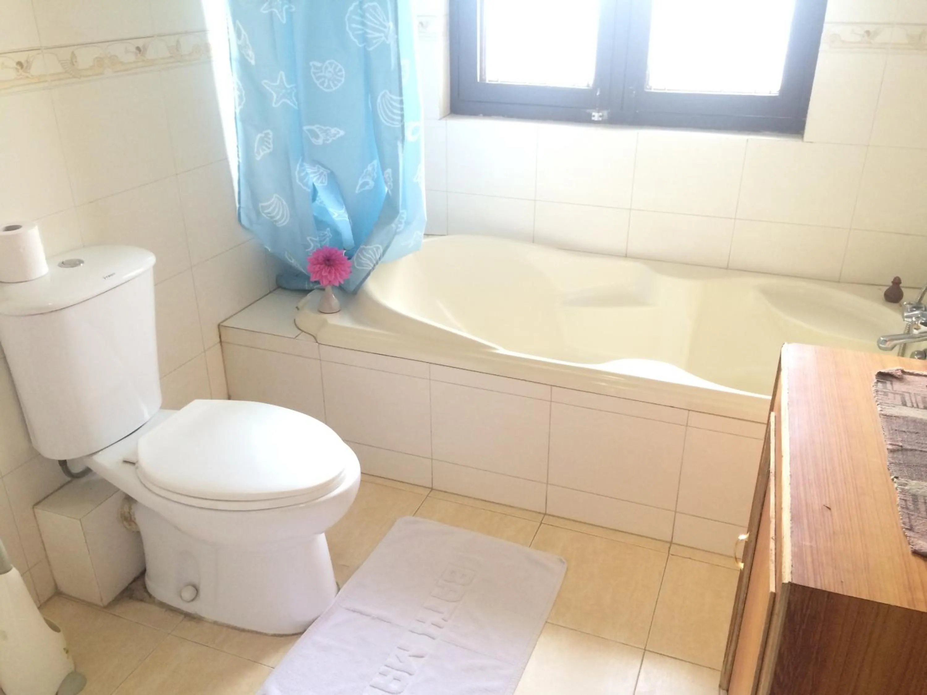 Shower in ROKPA Guest House