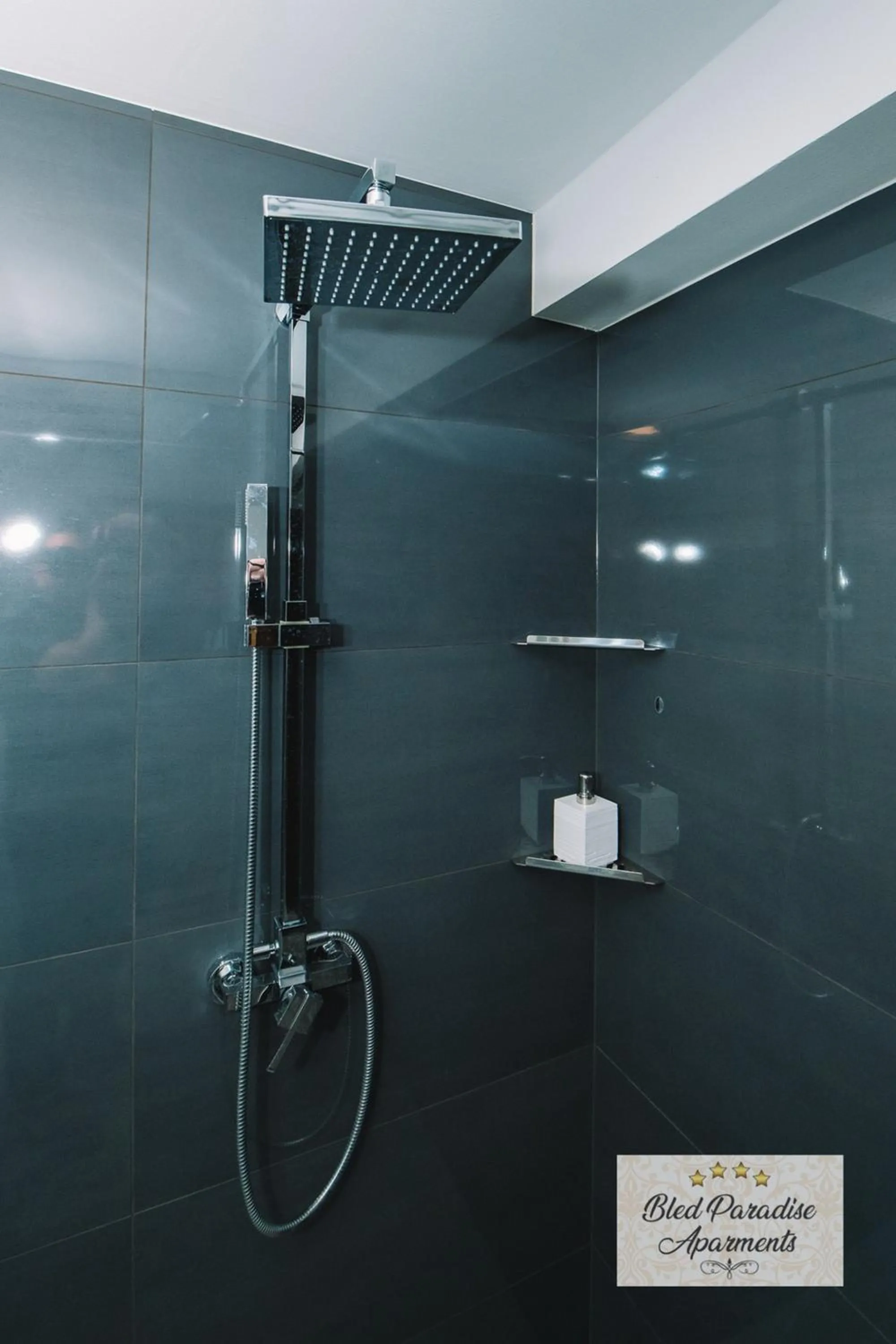 Bathroom in Wellness Paradise Apartment