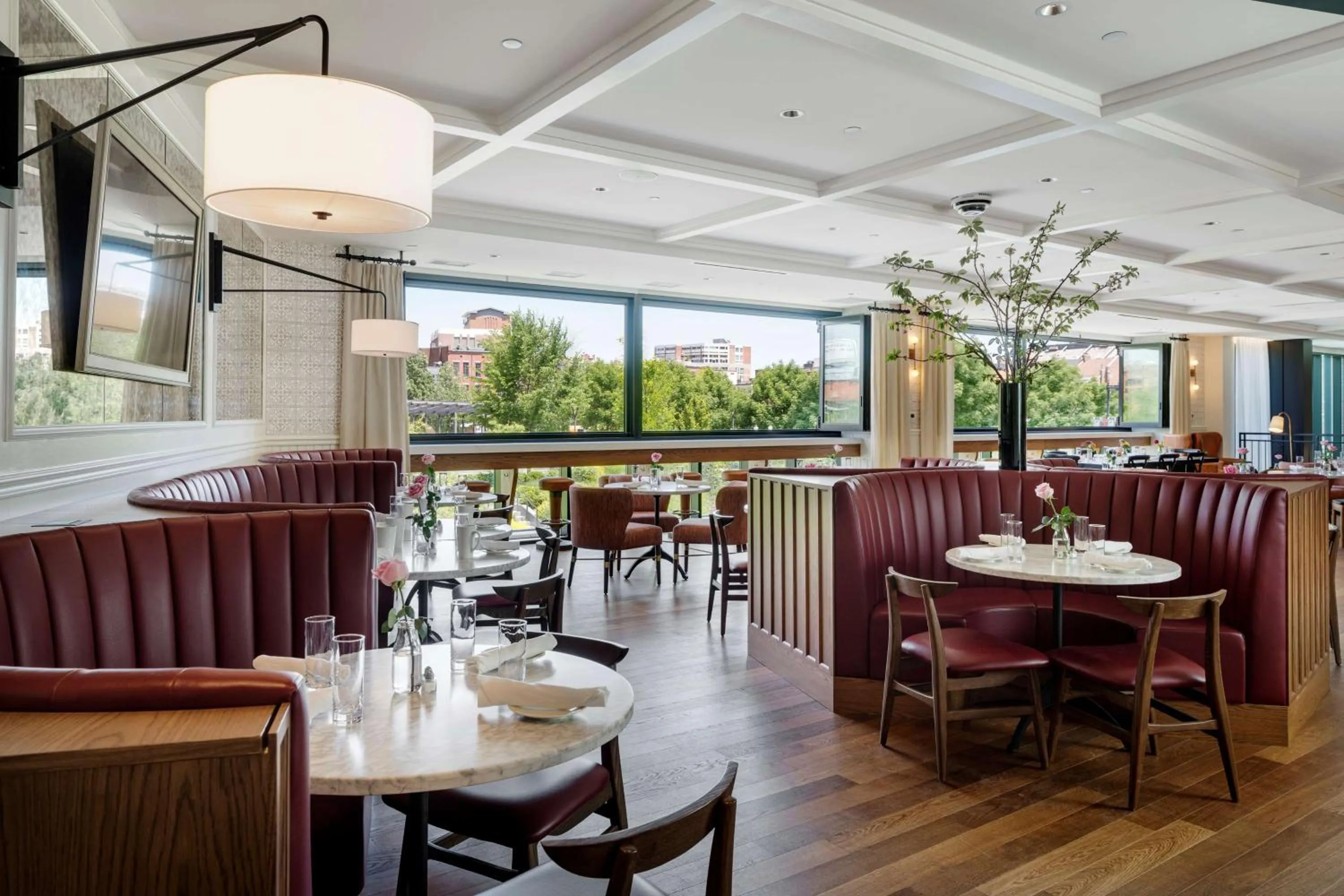 Restaurant/places to eat in Canopy By Hilton Boston Downtown