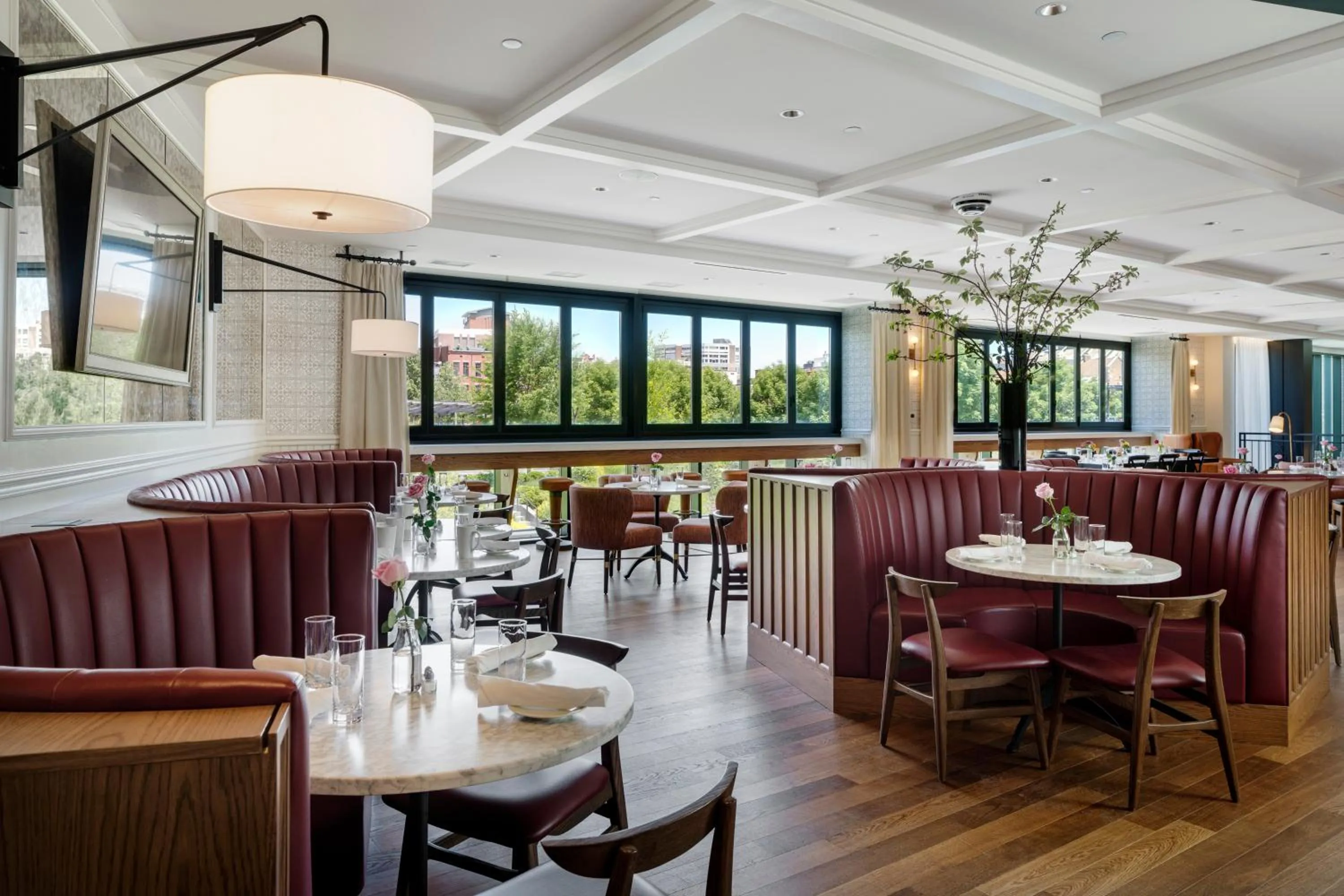 Restaurant/places to eat in Canopy By Hilton Boston Downtown