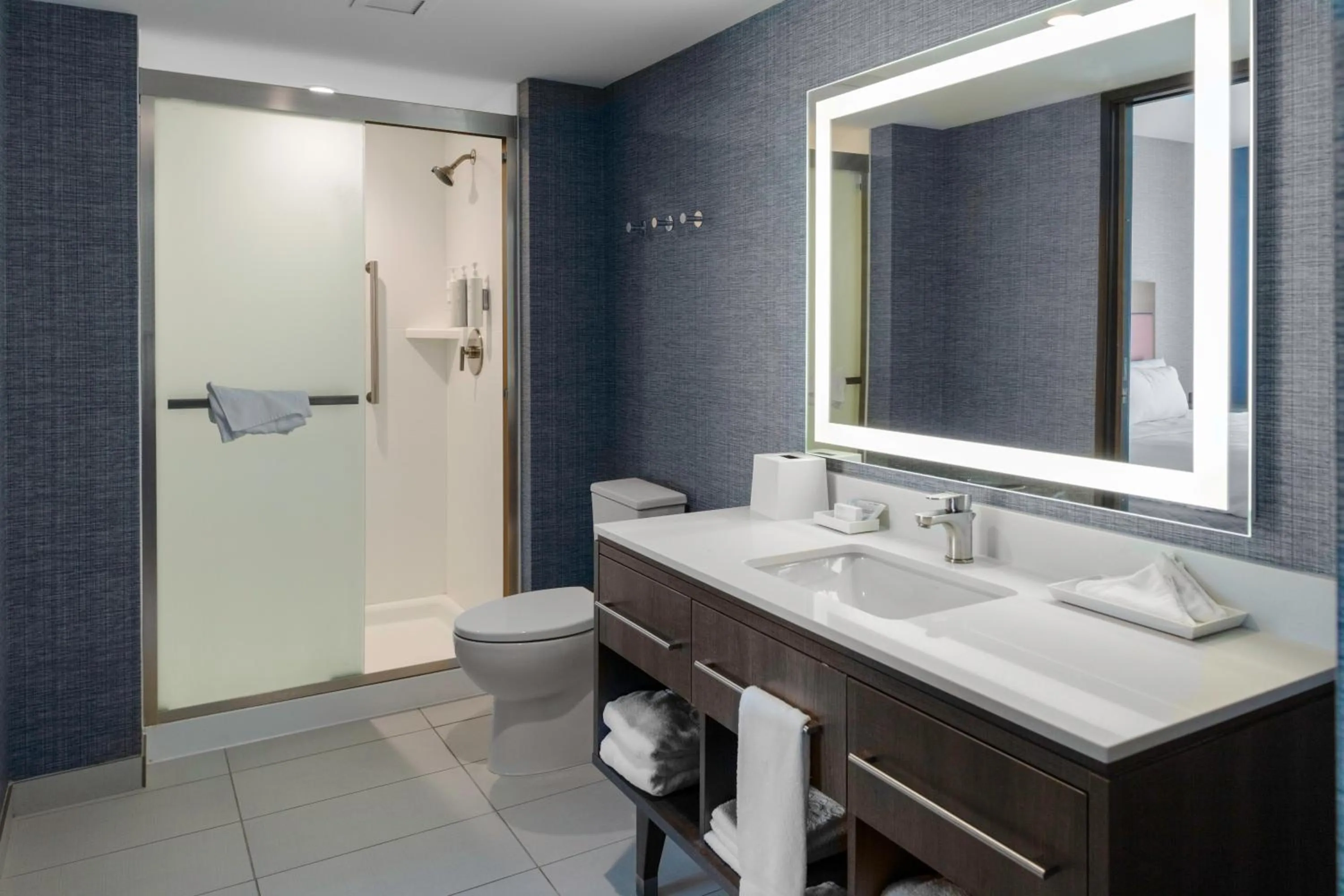 Shower in Home2 Suites By Hilton Northville Detroit