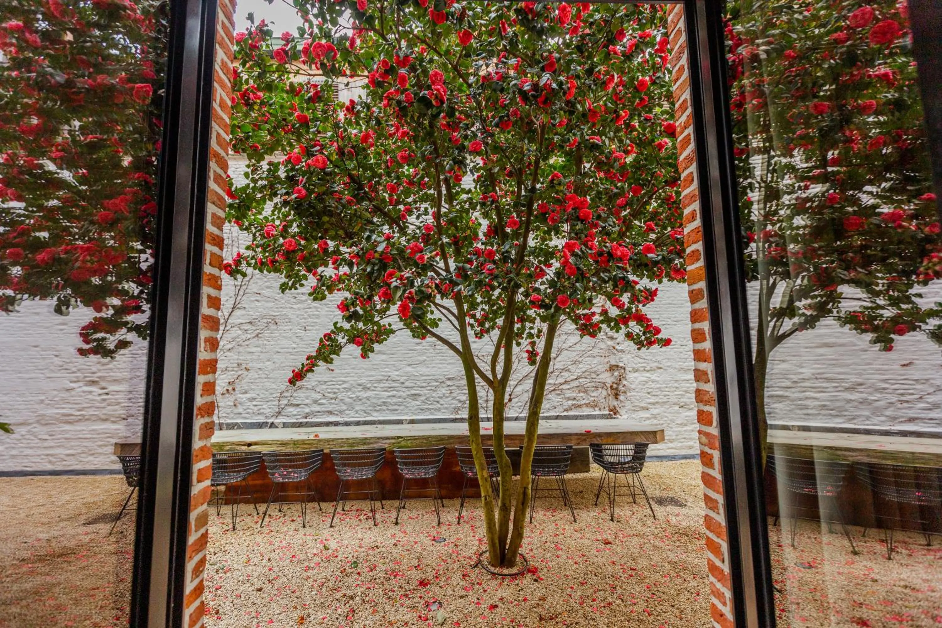Garden view in BTFL Living, Luxury Residences Antwerp, Zirkstraat