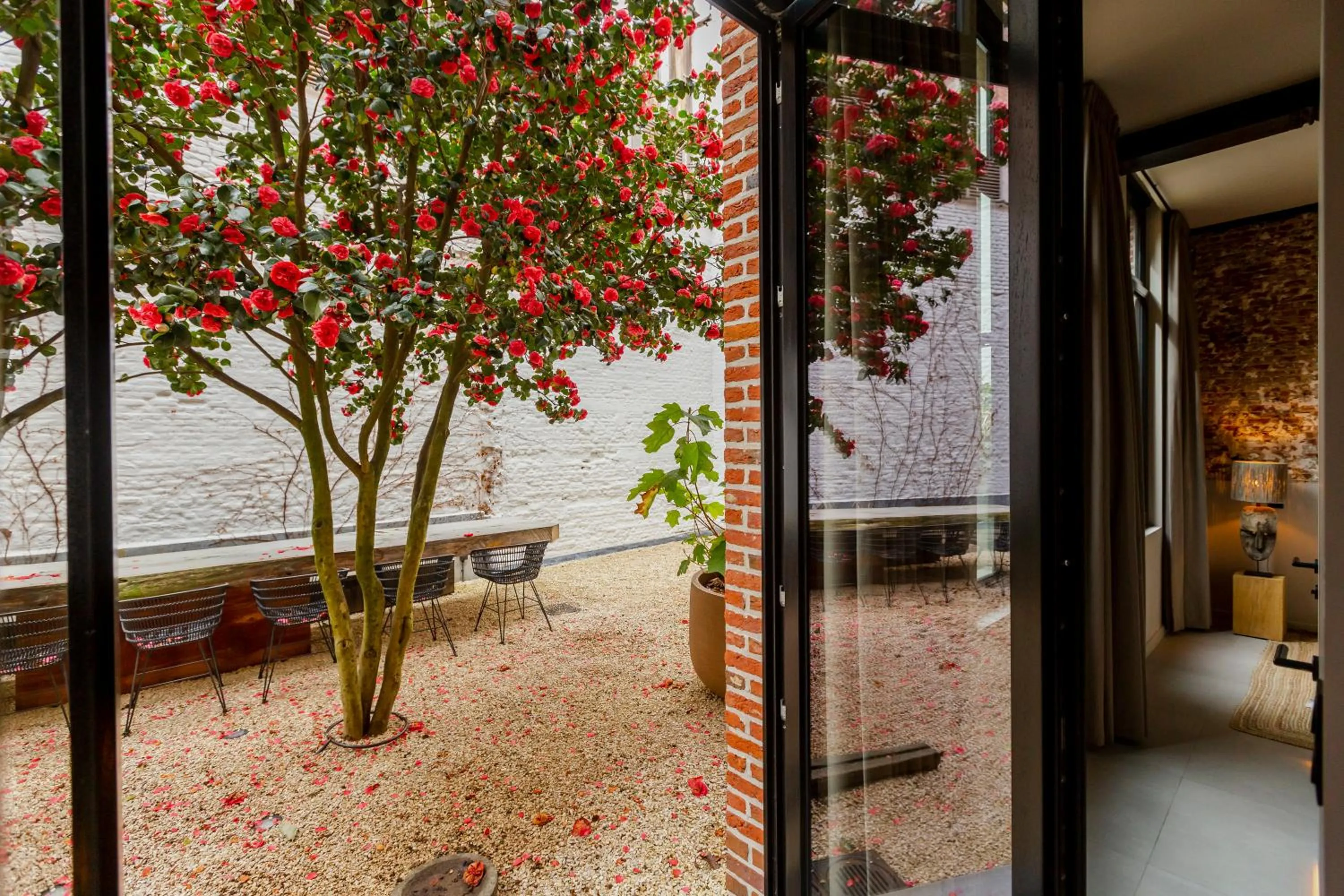 Garden view in BTFL Living, Luxury Residences Antwerp, Zirkstraat