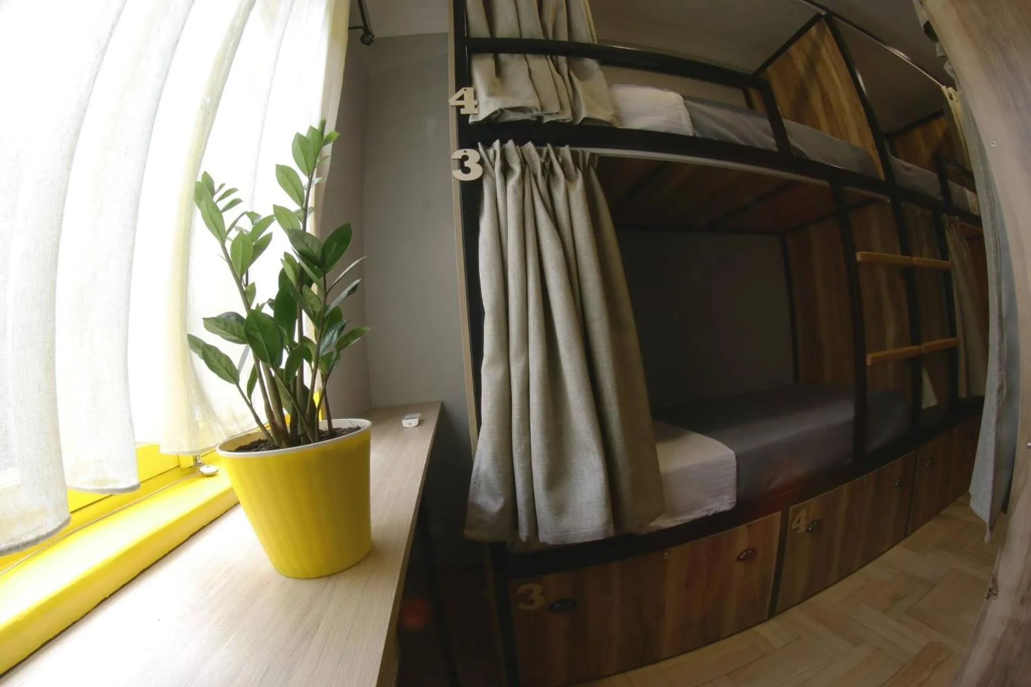 bunk bed, Bed in Hostel Nomad