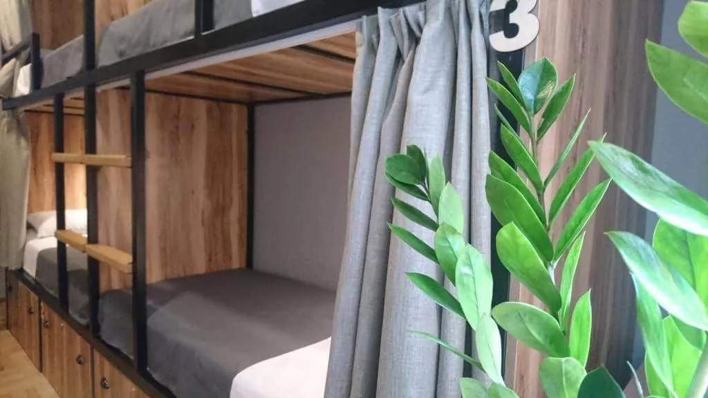 bunk bed, Bed in Hostel Nomad