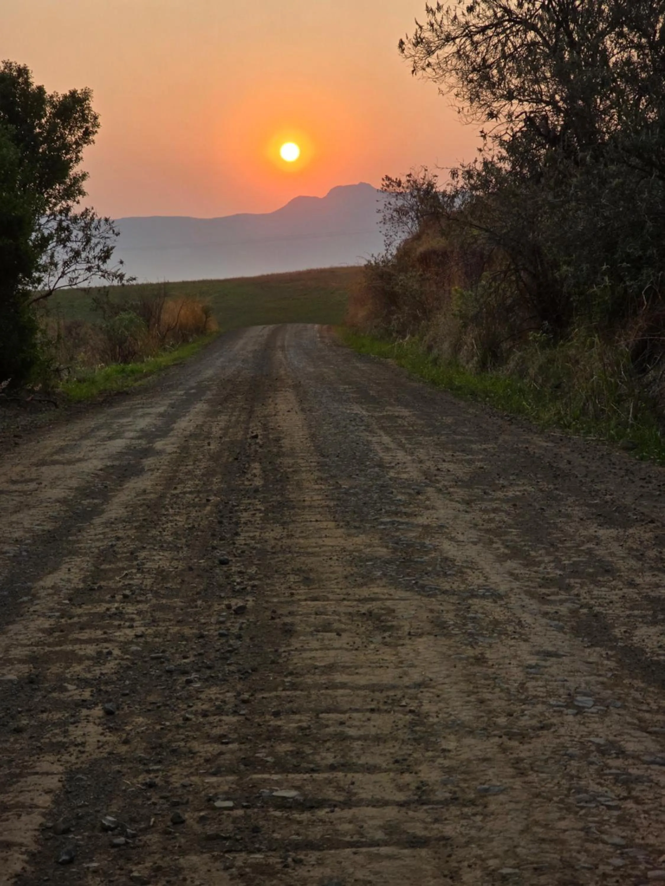 Natural landscape in Berghouse and Cottages