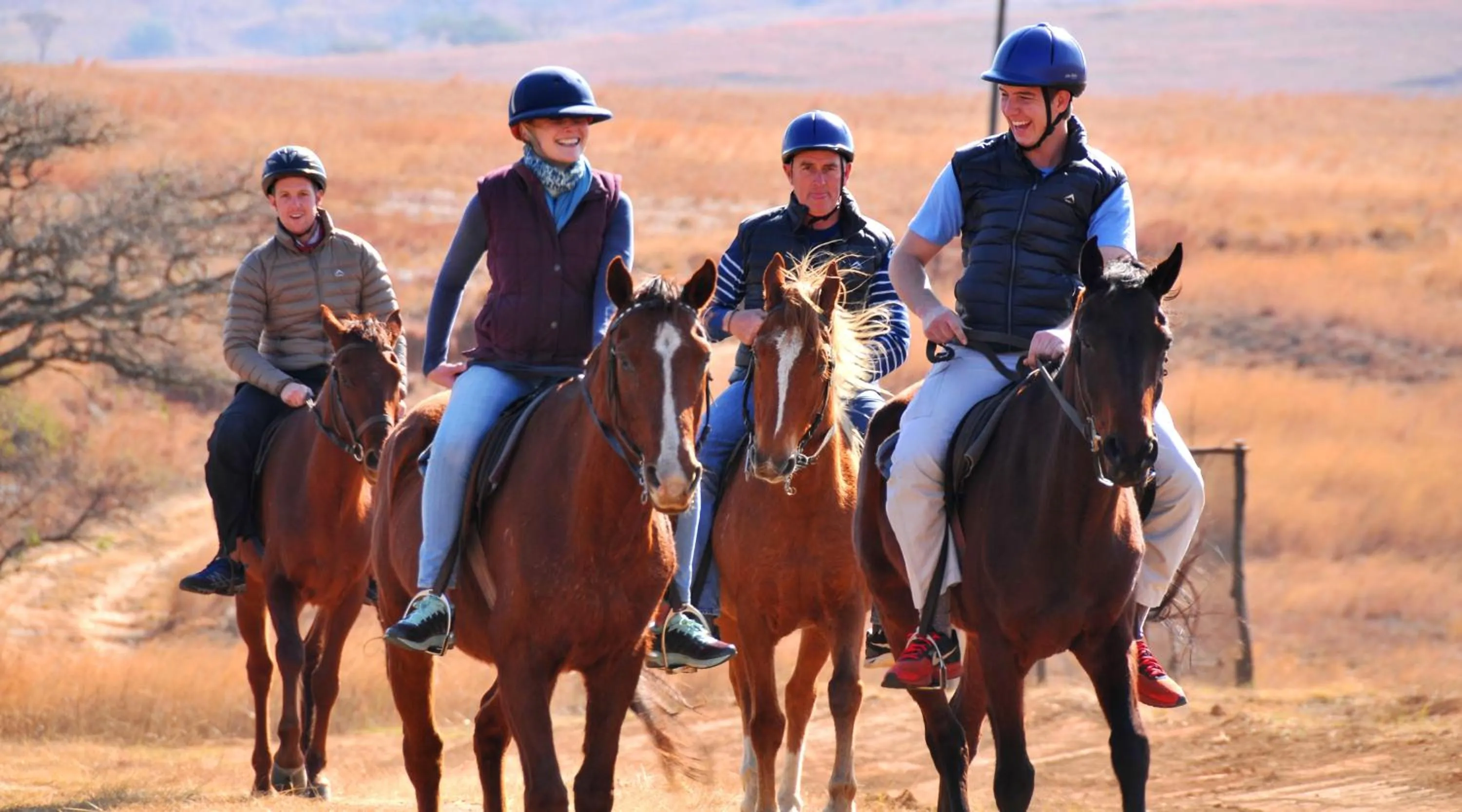 Horse-riding in Berghouse and Cottages