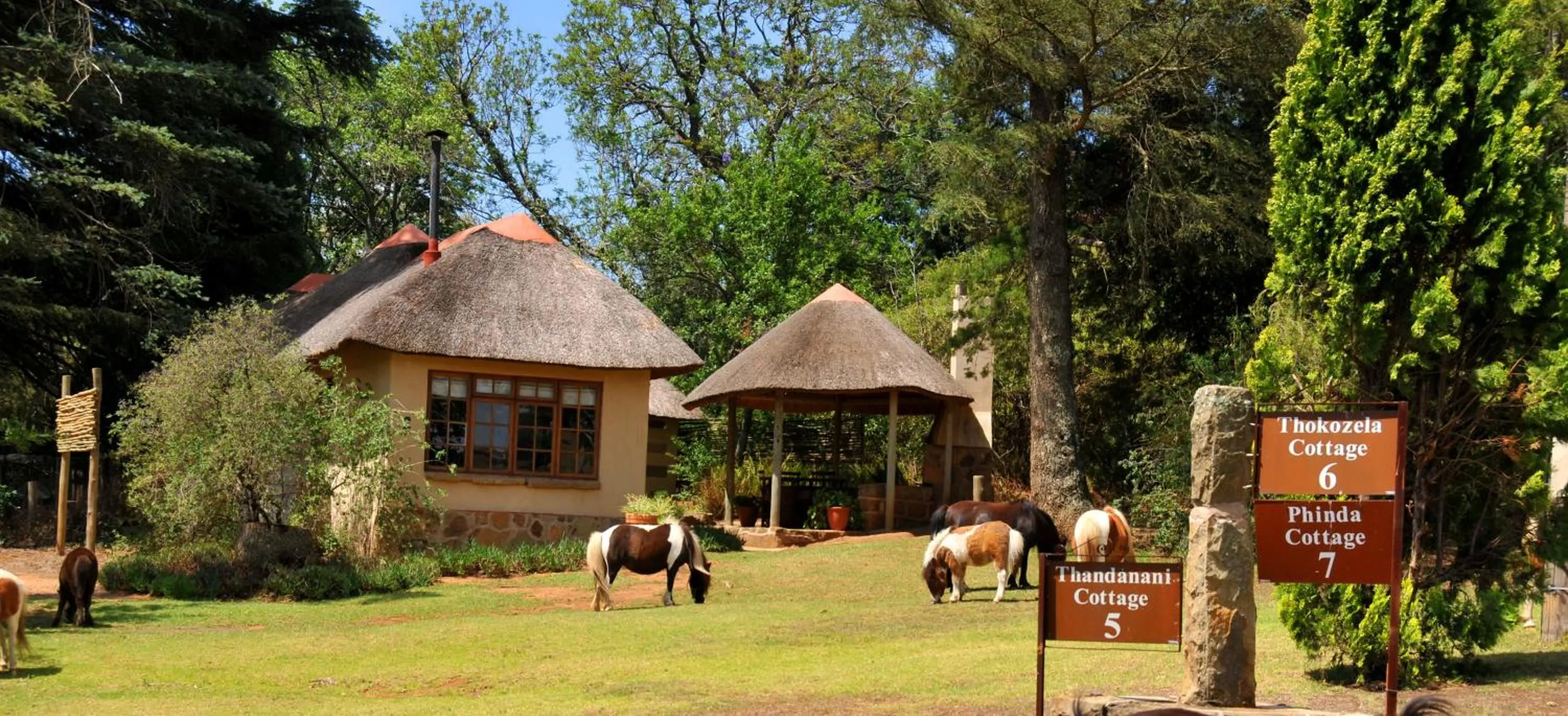 Property building in Berghouse and Cottages