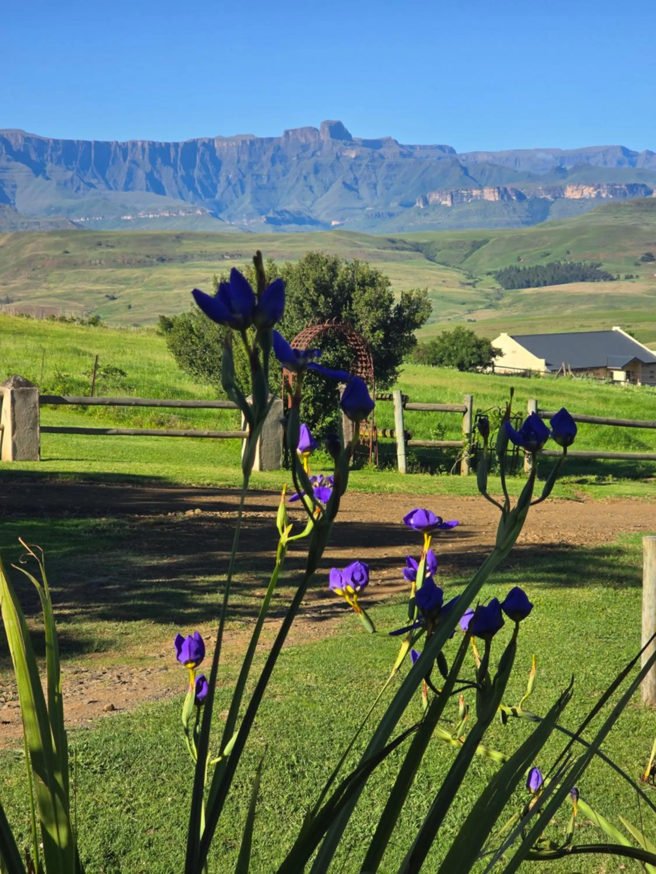 Berghouse and Cottages