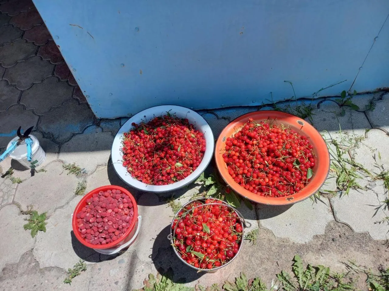 Otel Issyk-Kul Karakol