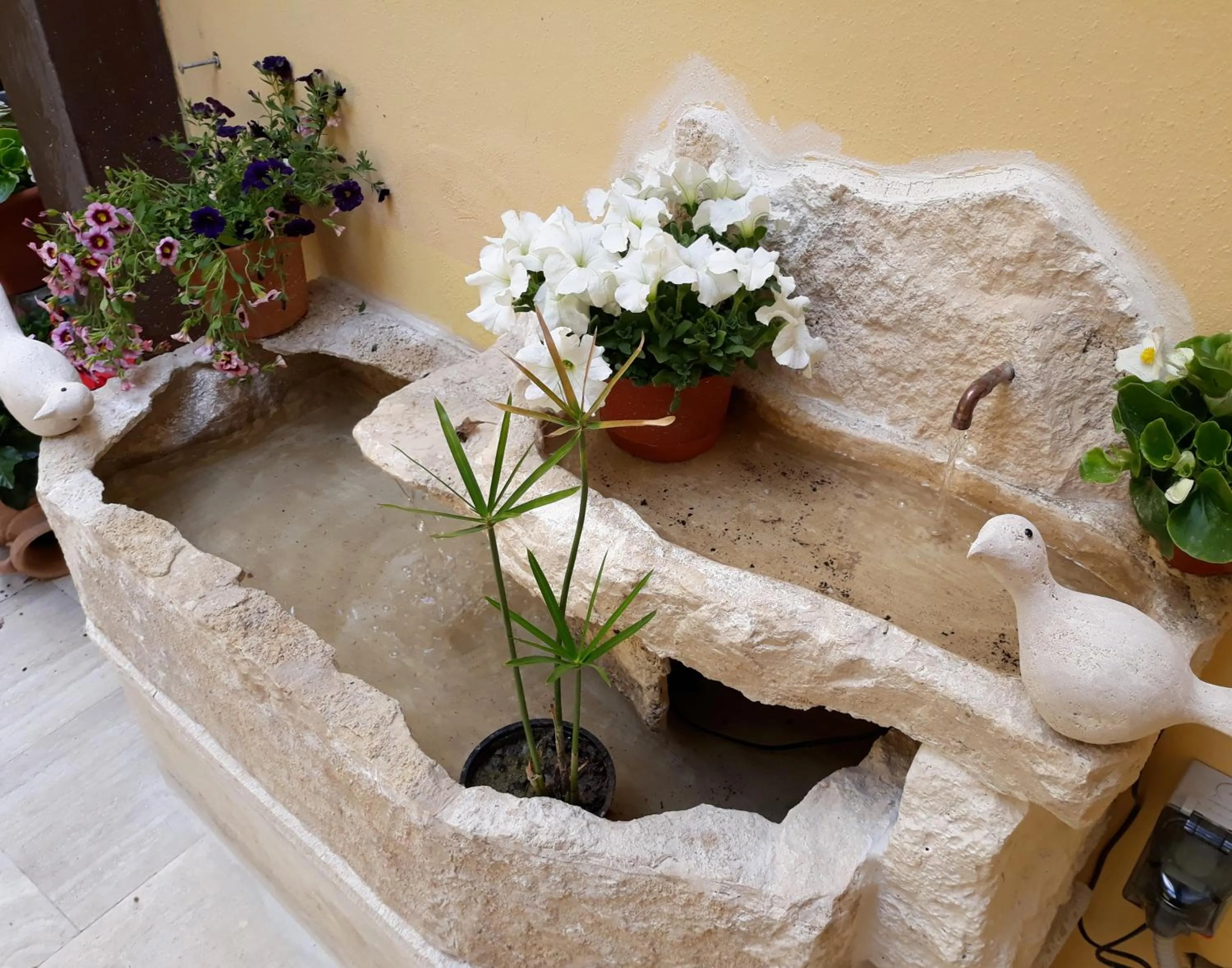 Garden in Hotel Minerva