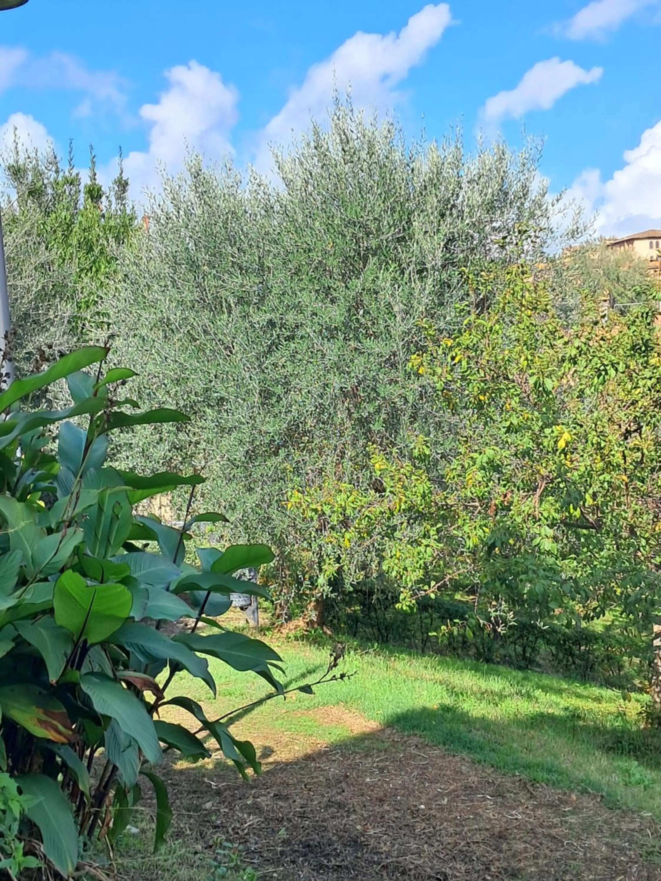 Natural landscape in Hotel Minerva