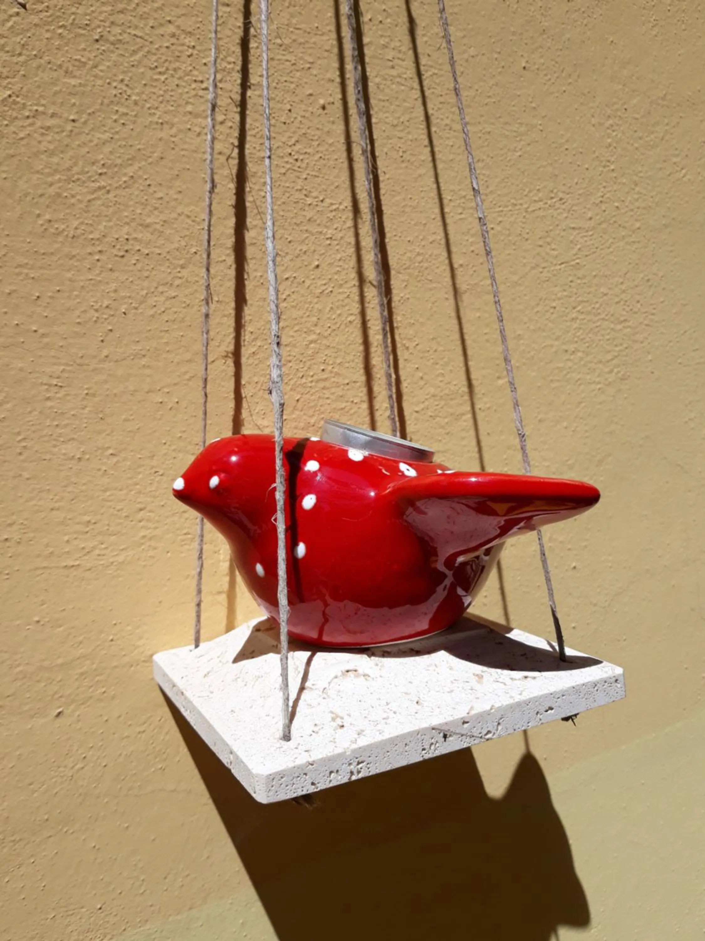 Garden in Hotel Minerva