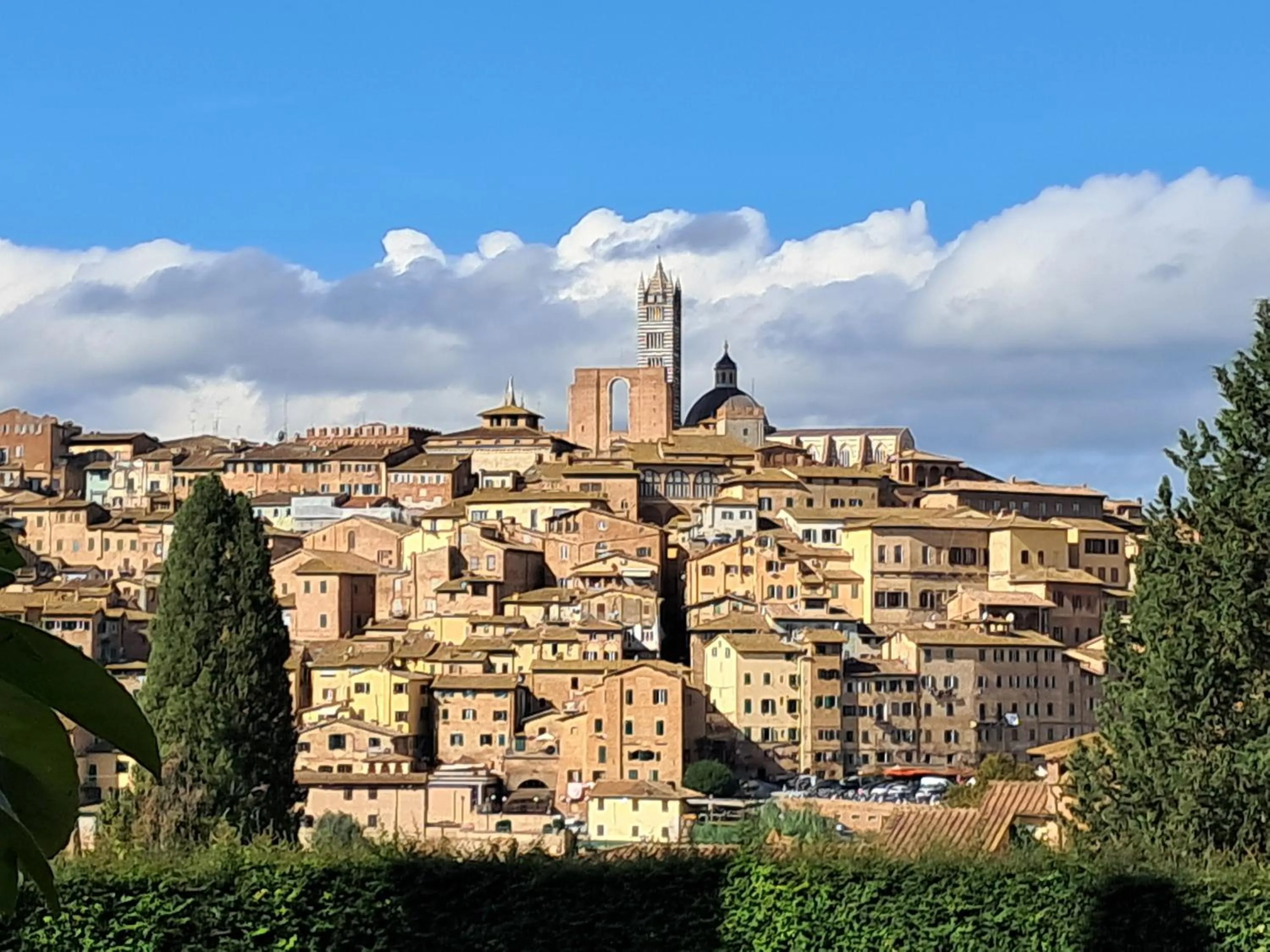 Nearby landmark in Hotel Minerva