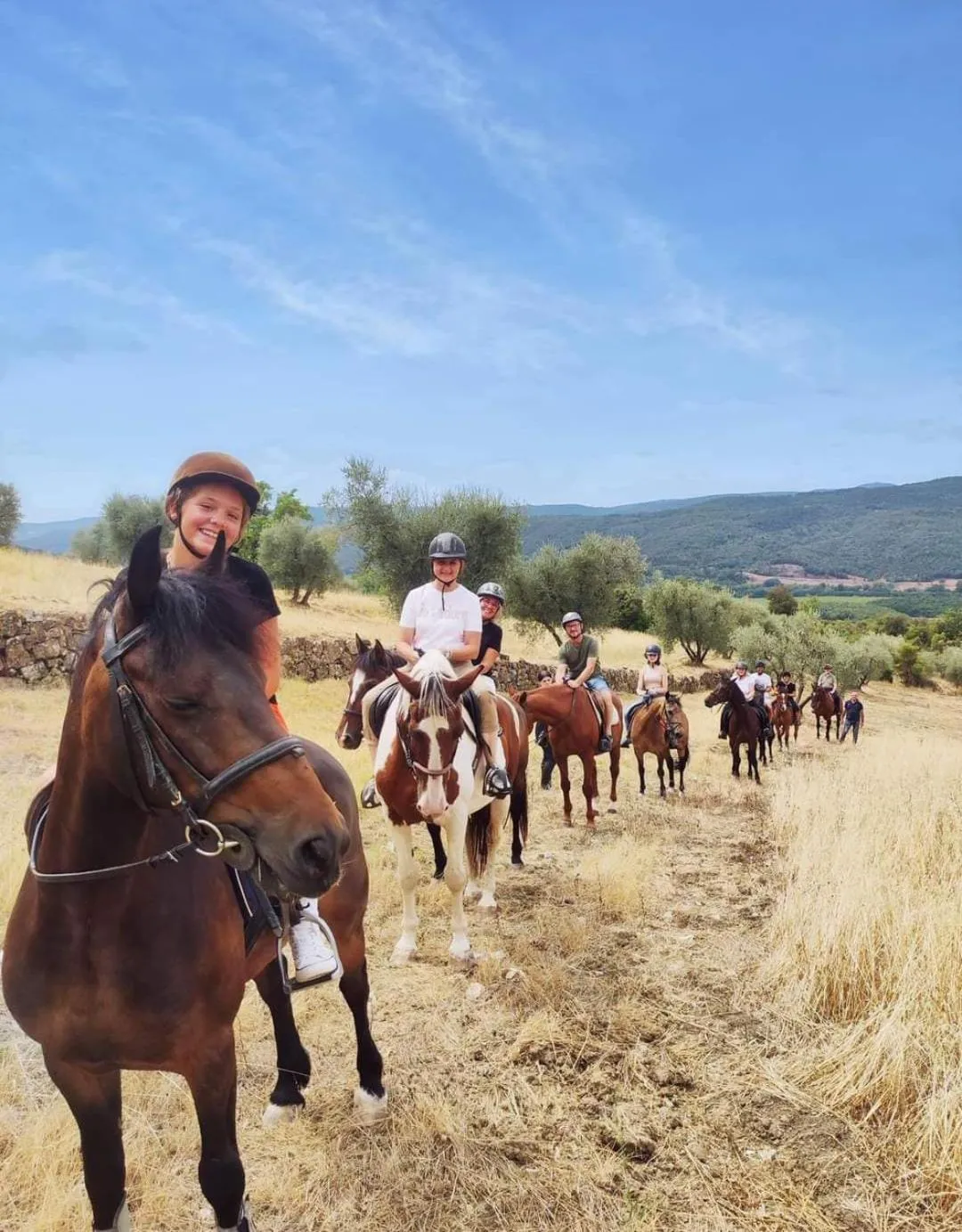 Activities in Hotel Minerva