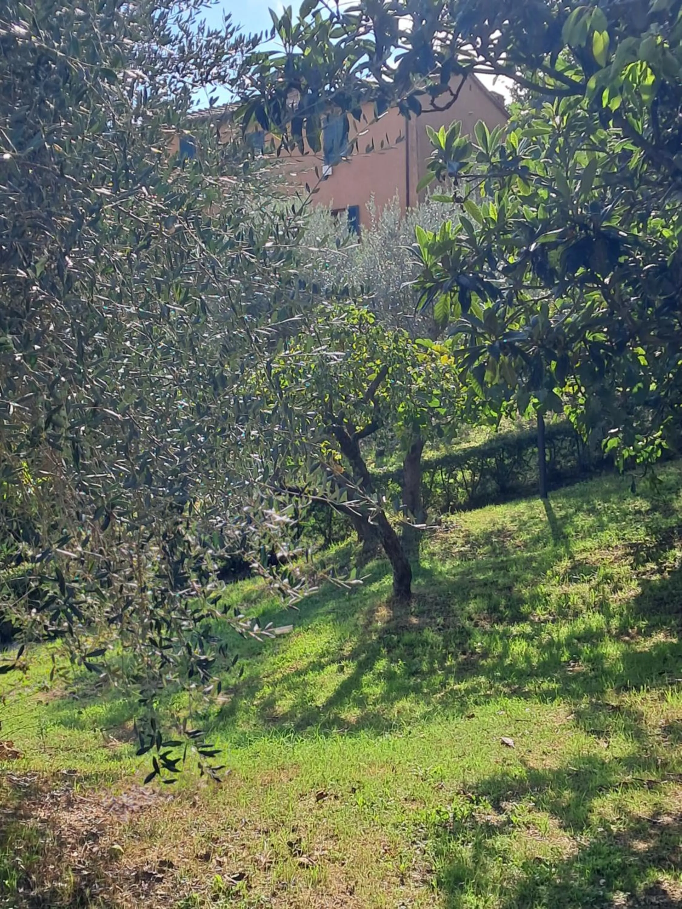 Nearby landmark in Hotel Minerva