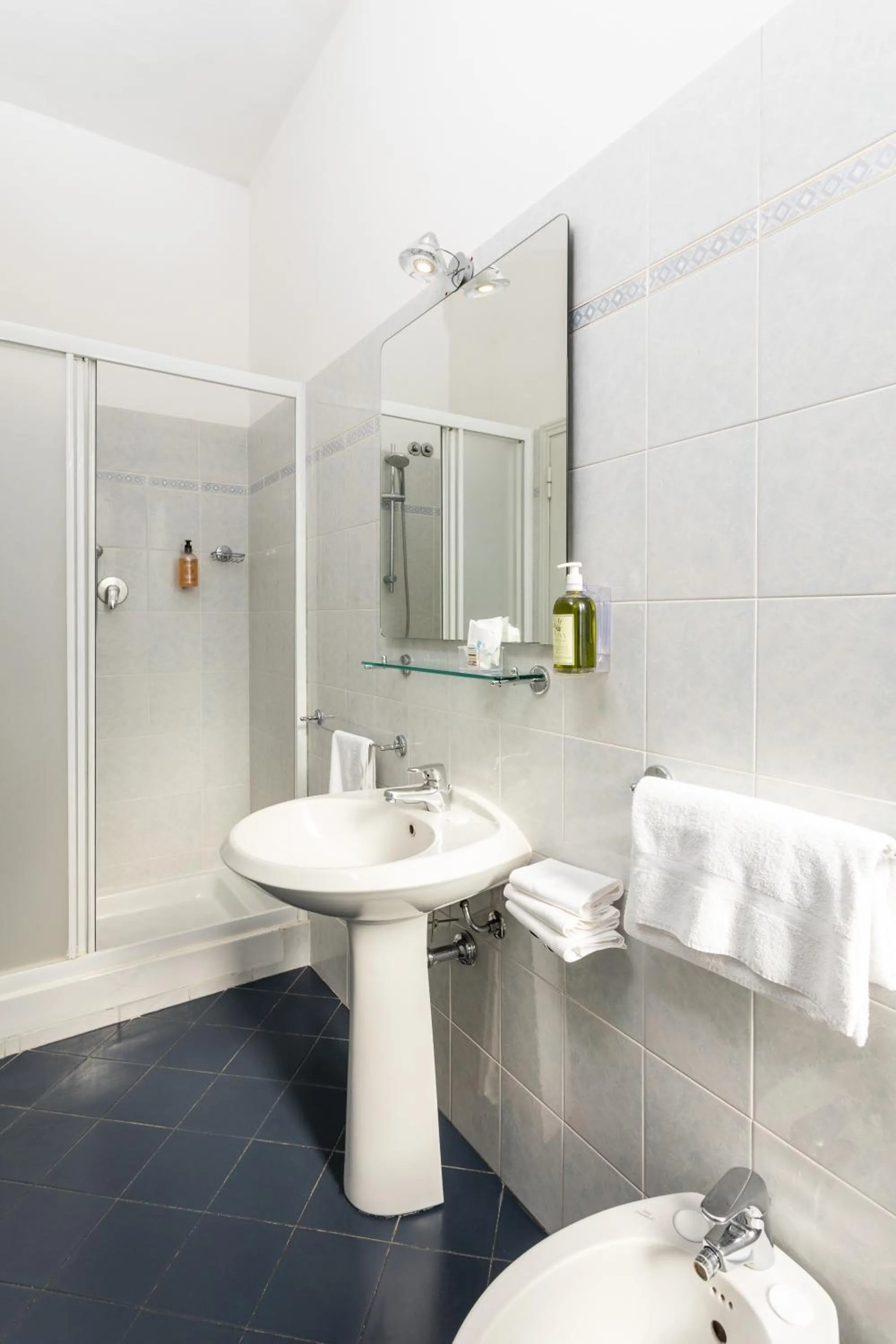 Shower in Hotel Minerva